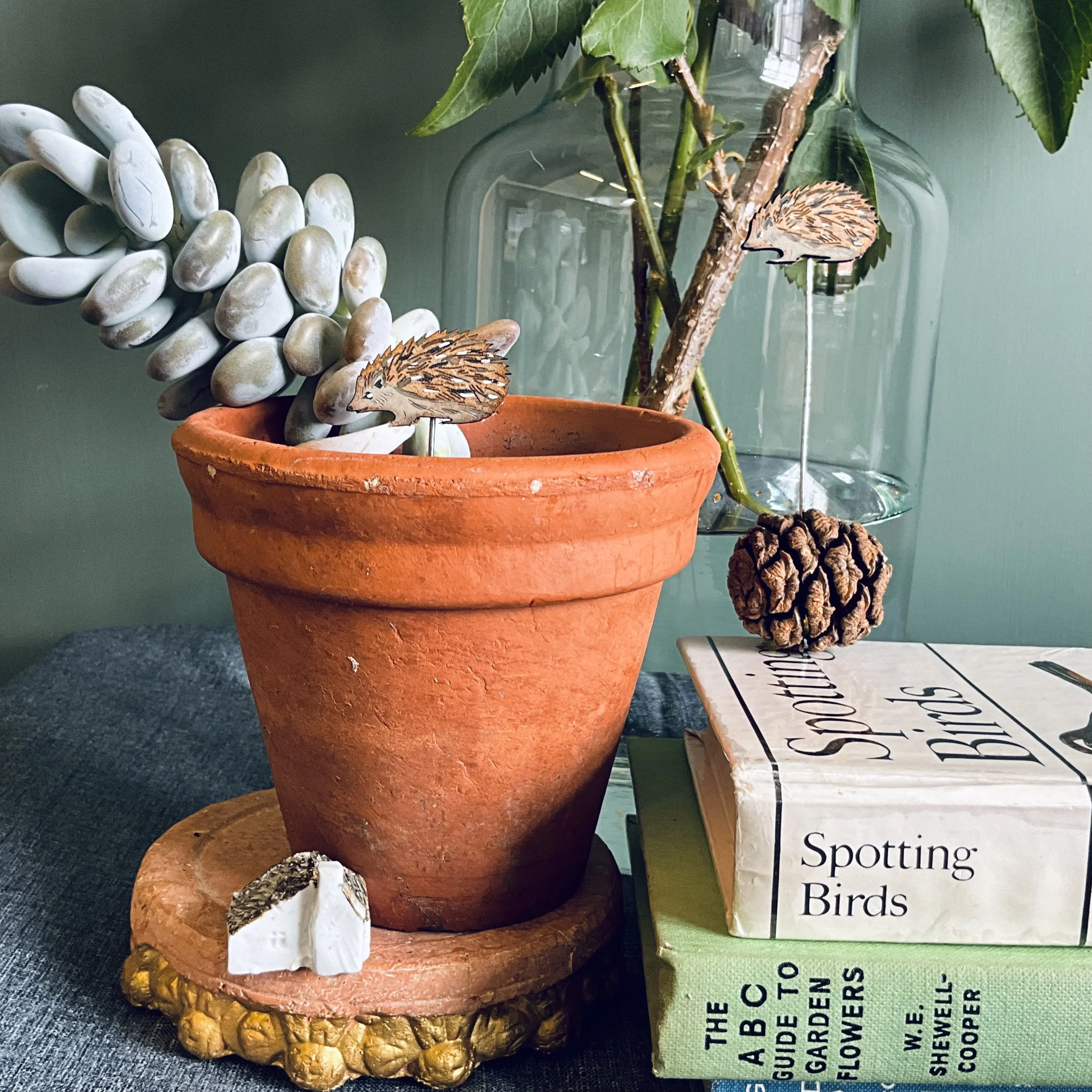 Hedgehog Plant Pot Companions a gorgeous addition to your indoor plant pots or table decorations