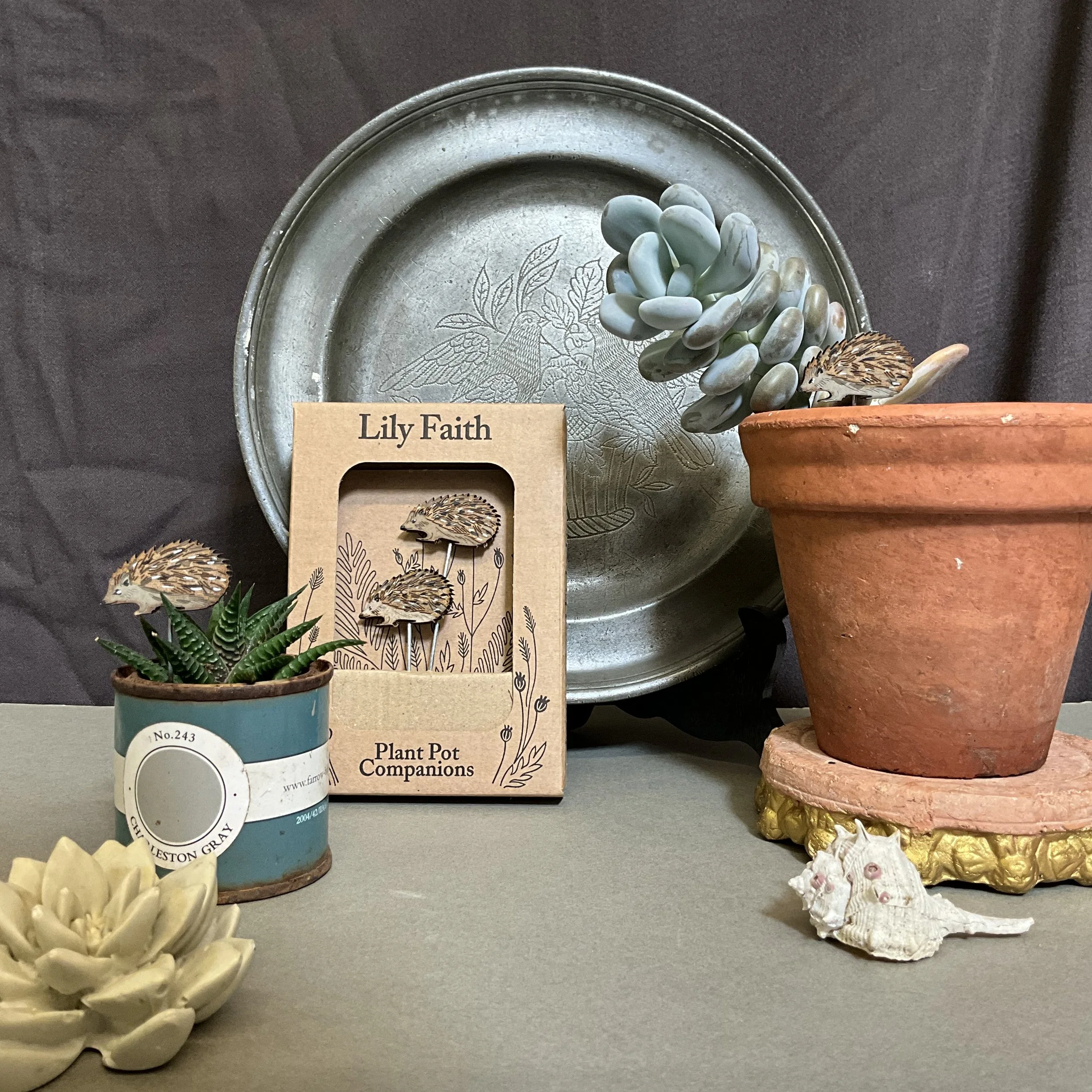 Lily Faith Hedgehog Plant Companions come packaged in FSC materials, printed and constructed in the South West UK, and post as a large letter for easy gifting.