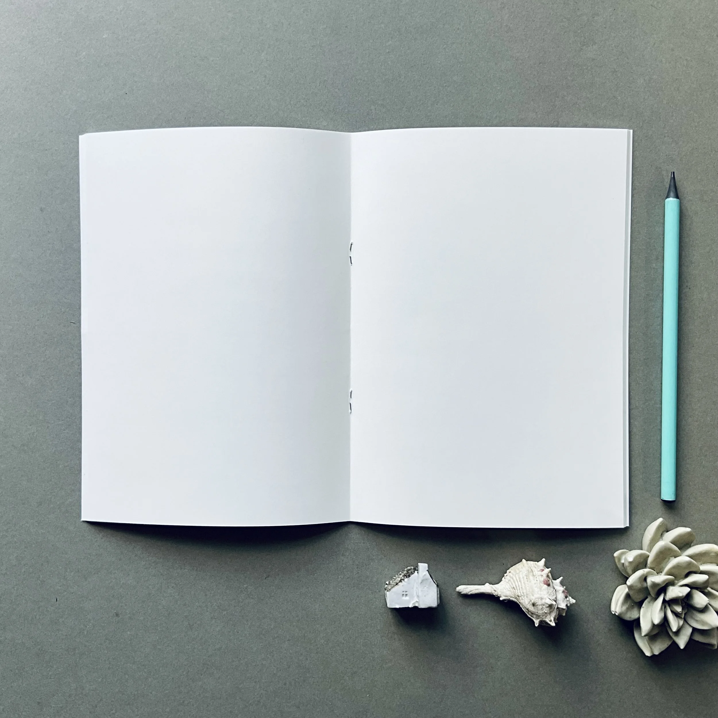 FSC A5 Notebook, designed and printed in the South West, UK. Featuring Lily Faith's Blue Tit in the  Catkins design.