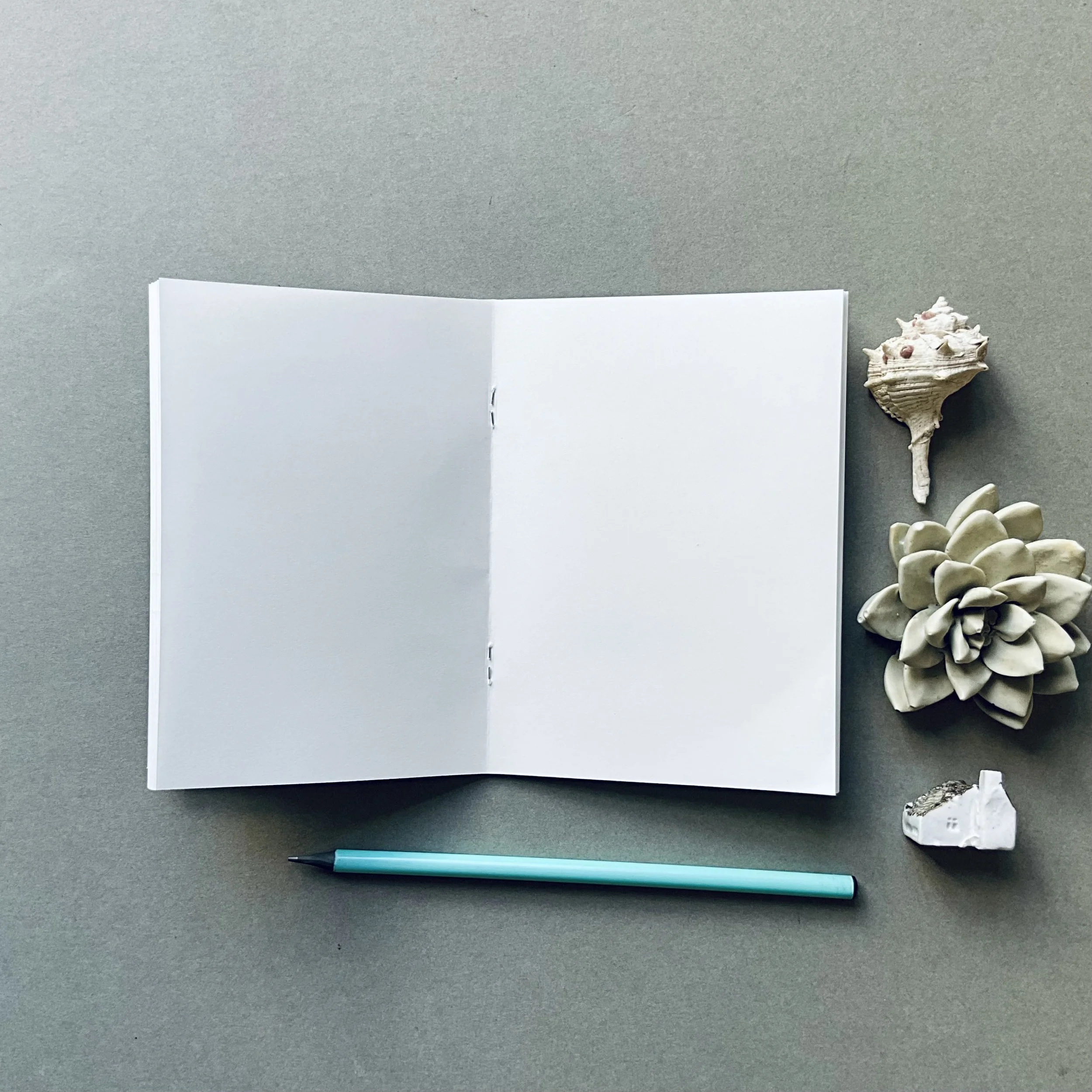 Lily Faith's collection of illustrated a6 notebooks, designed and printed in the UK on FSC paper. (Copy)