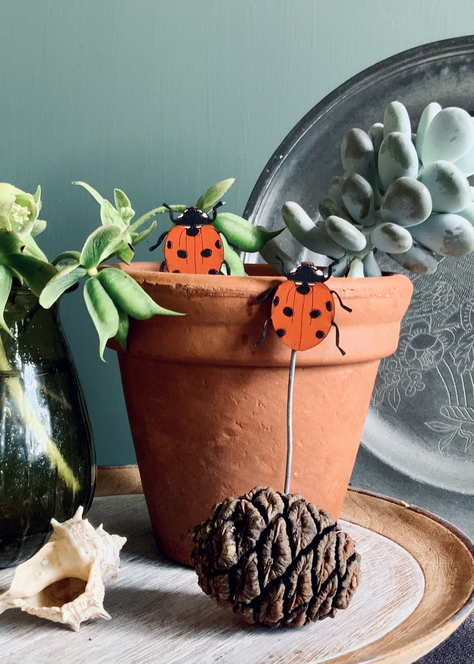 Ladybird Plant Pot Companions