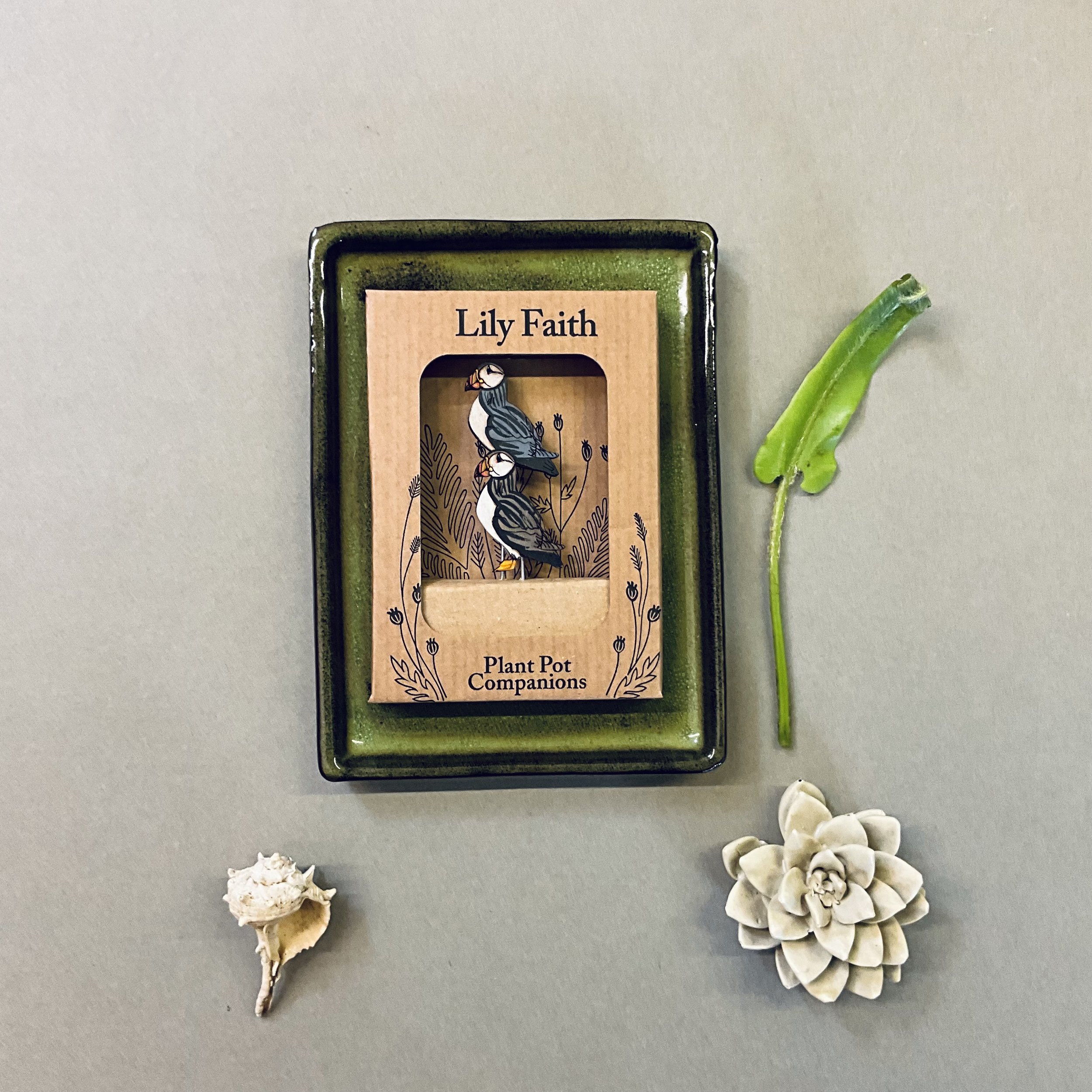 Our plant pot companions come packaged in beautiful bespoke FSC cardboard boxes, with all the instructions and care details. Completely made in the UK (Copy)