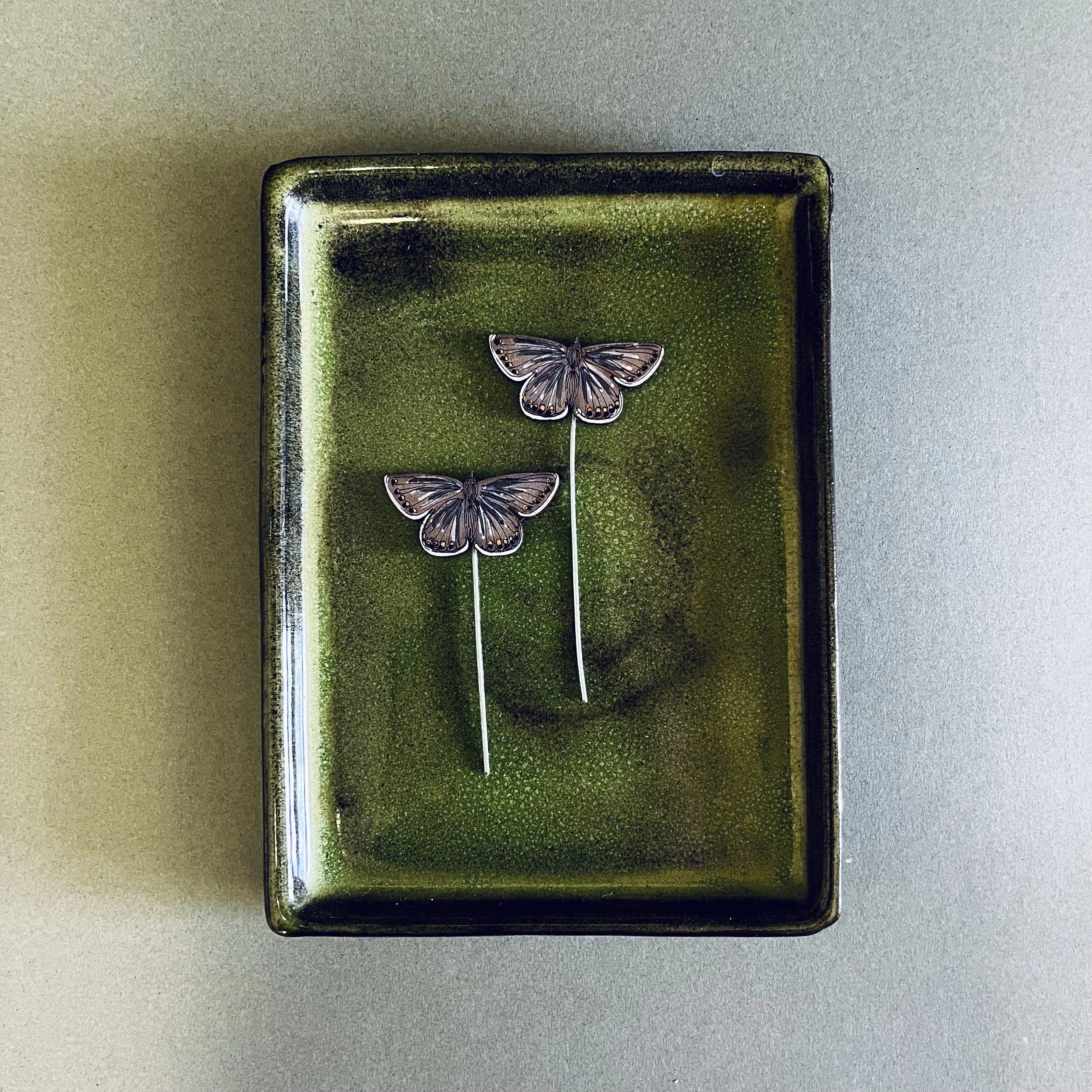 Lily Faith Common Blue Butterfly Plant Pot Companions