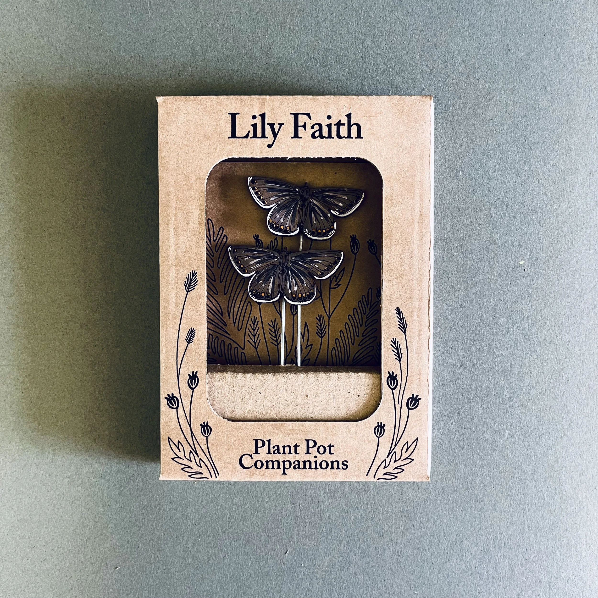 Common Blue Butterfly Plant Pot Companions