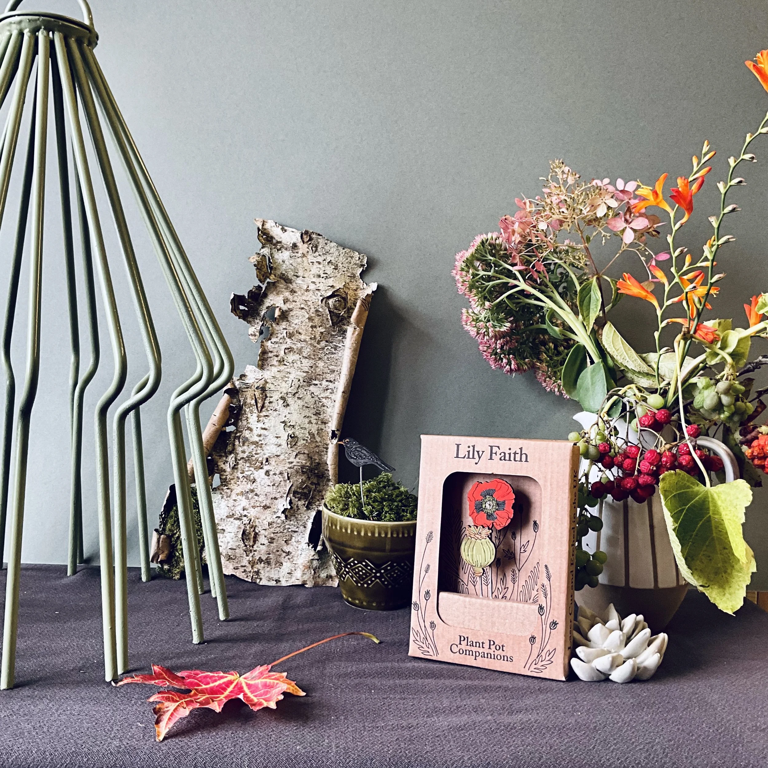 poppy plant pot companions.jpeg