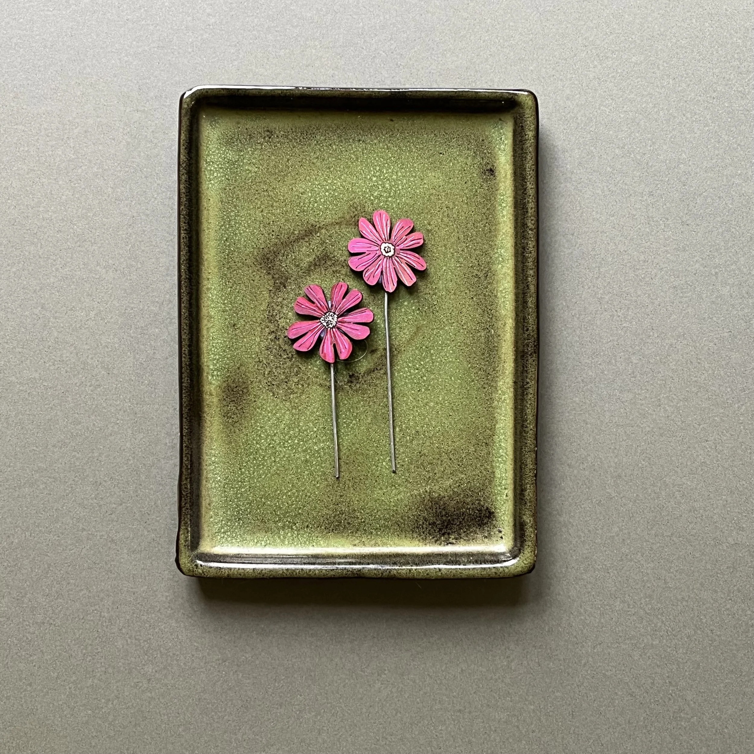 red campion plant pot companions.jpeg