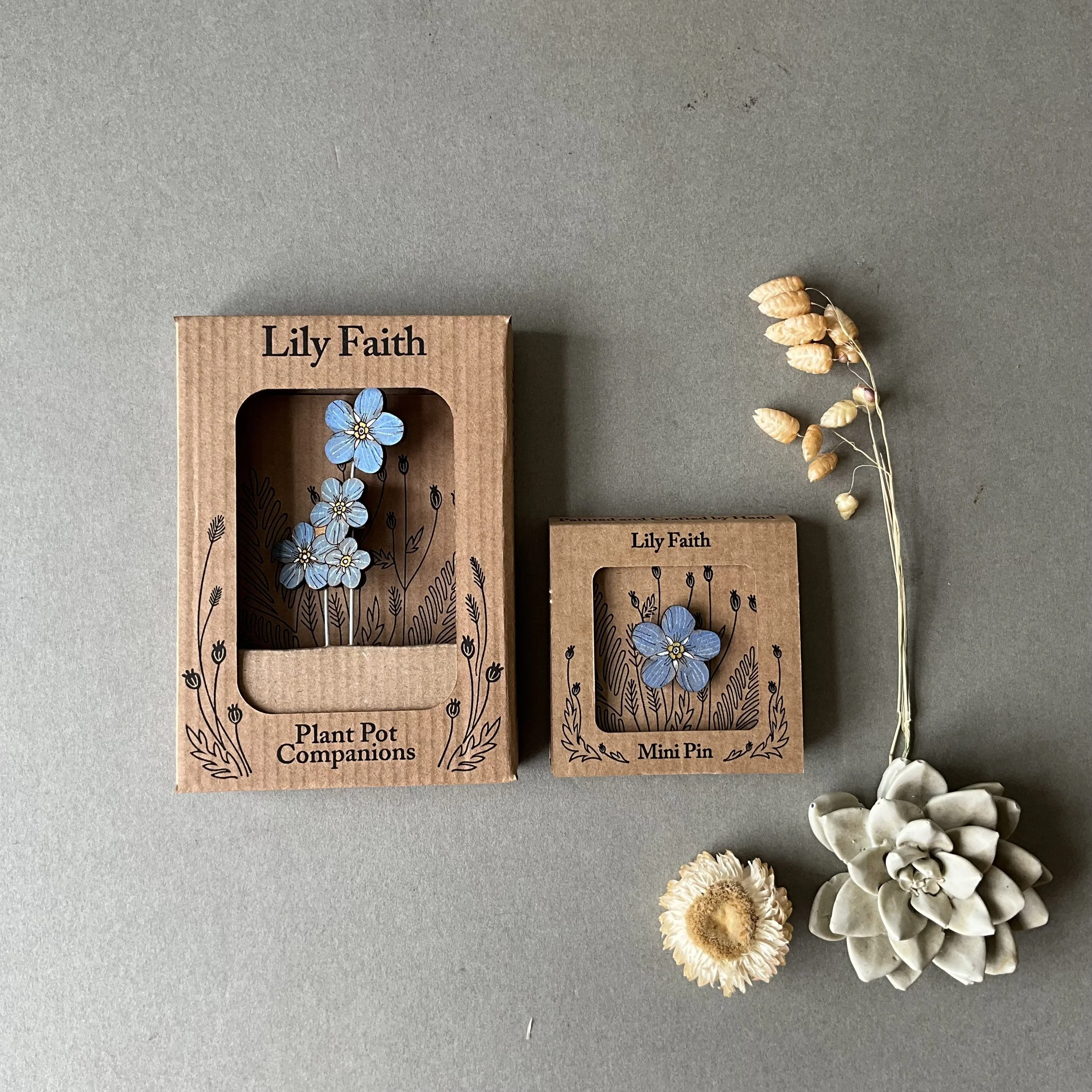 forget me not plant pot companions.jpeg