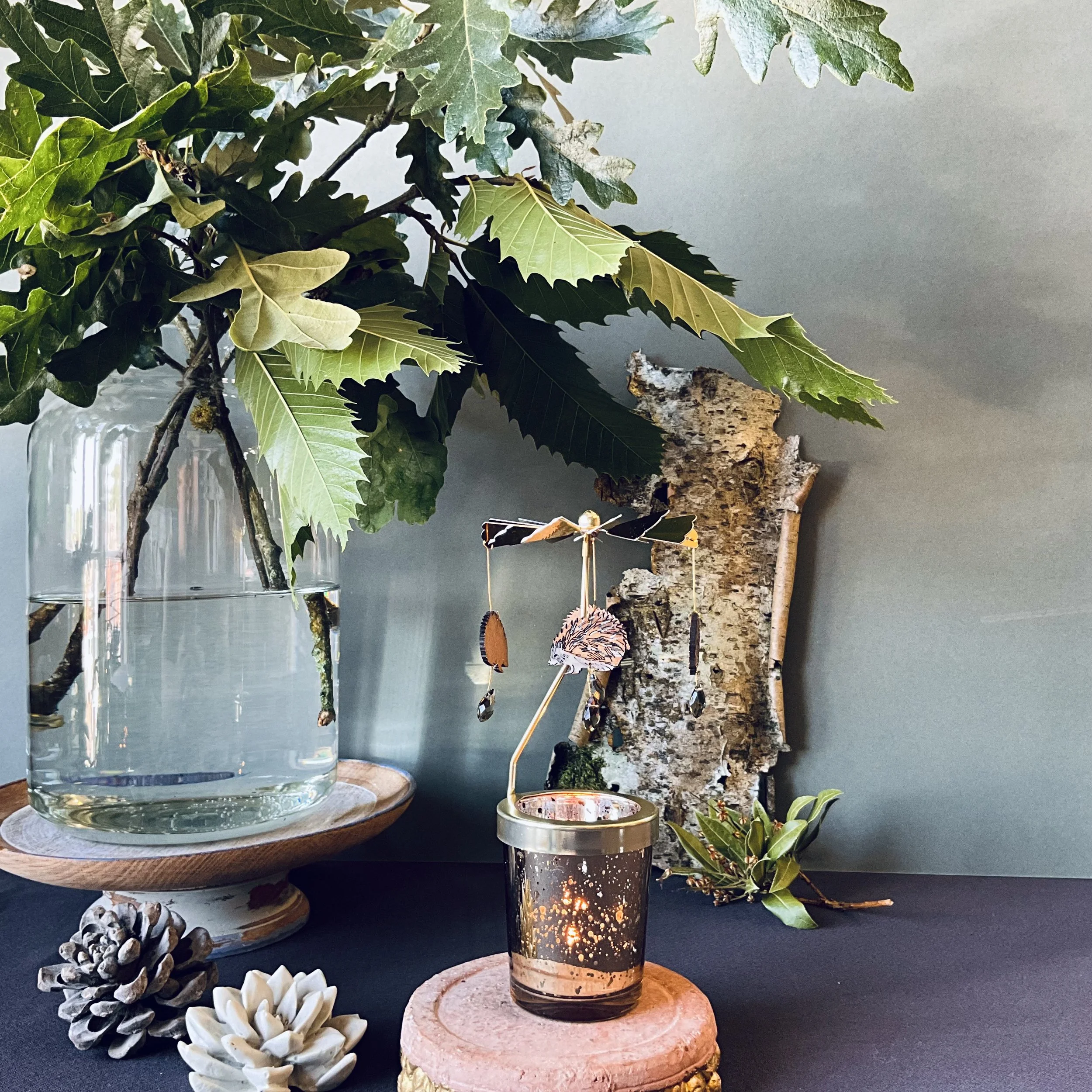 hedgehog candle carousel.jpeg