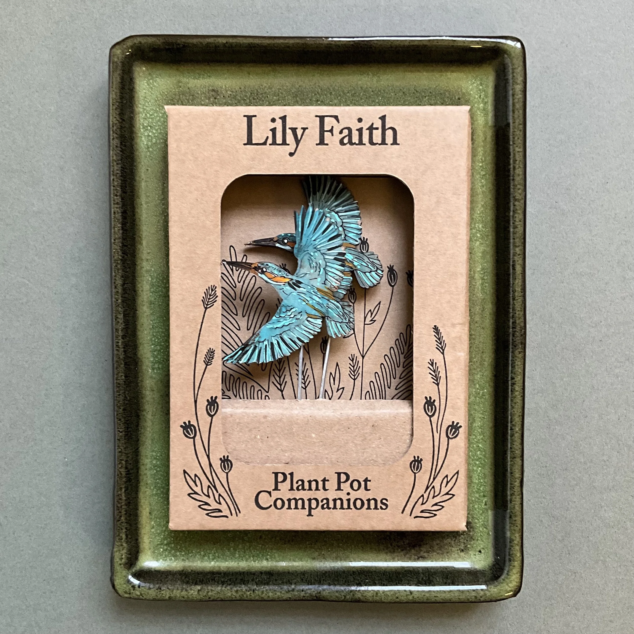 Kingfisher Plant Pot Companions packaged flat lay (Copy)