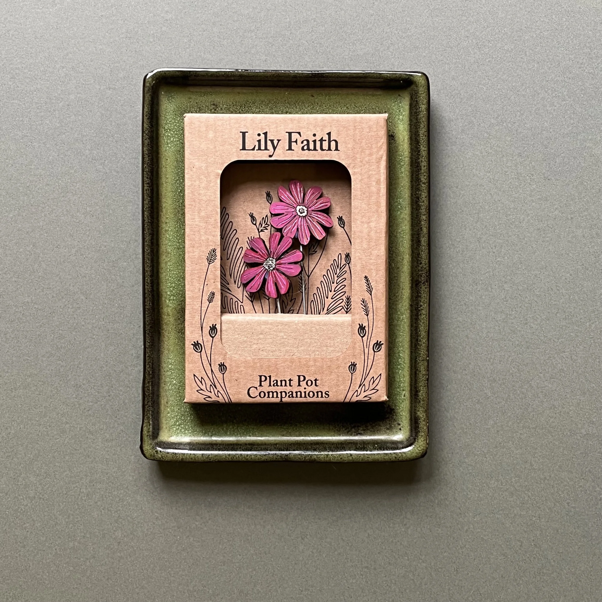 red campion plant pot companions.jpeg