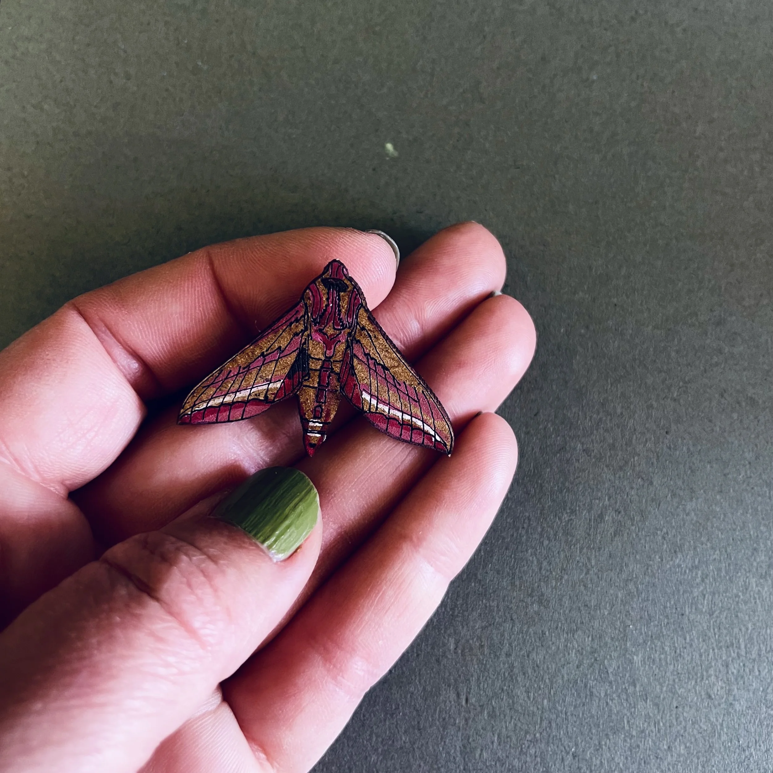 Lily Faith Elephant Hawk Moth Mini Pin