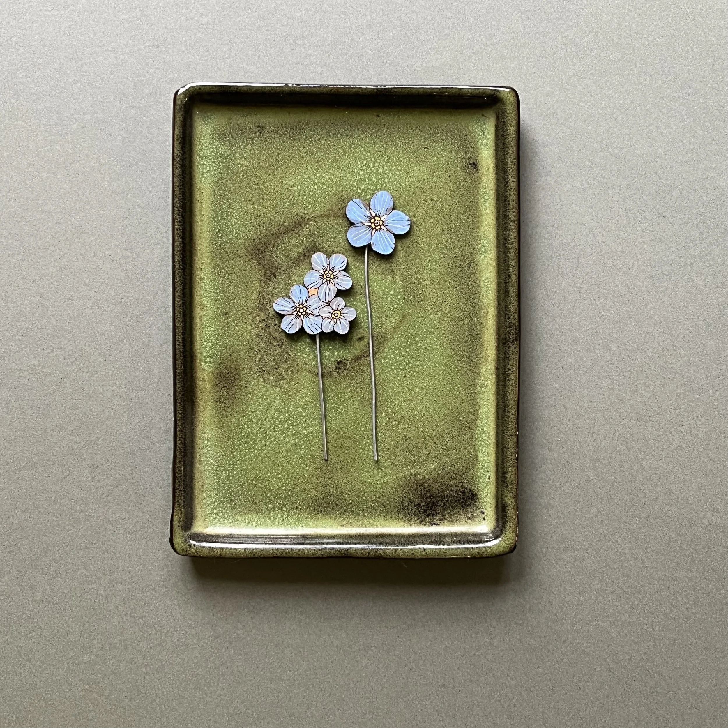 forget me not plant pot companions.jpeg