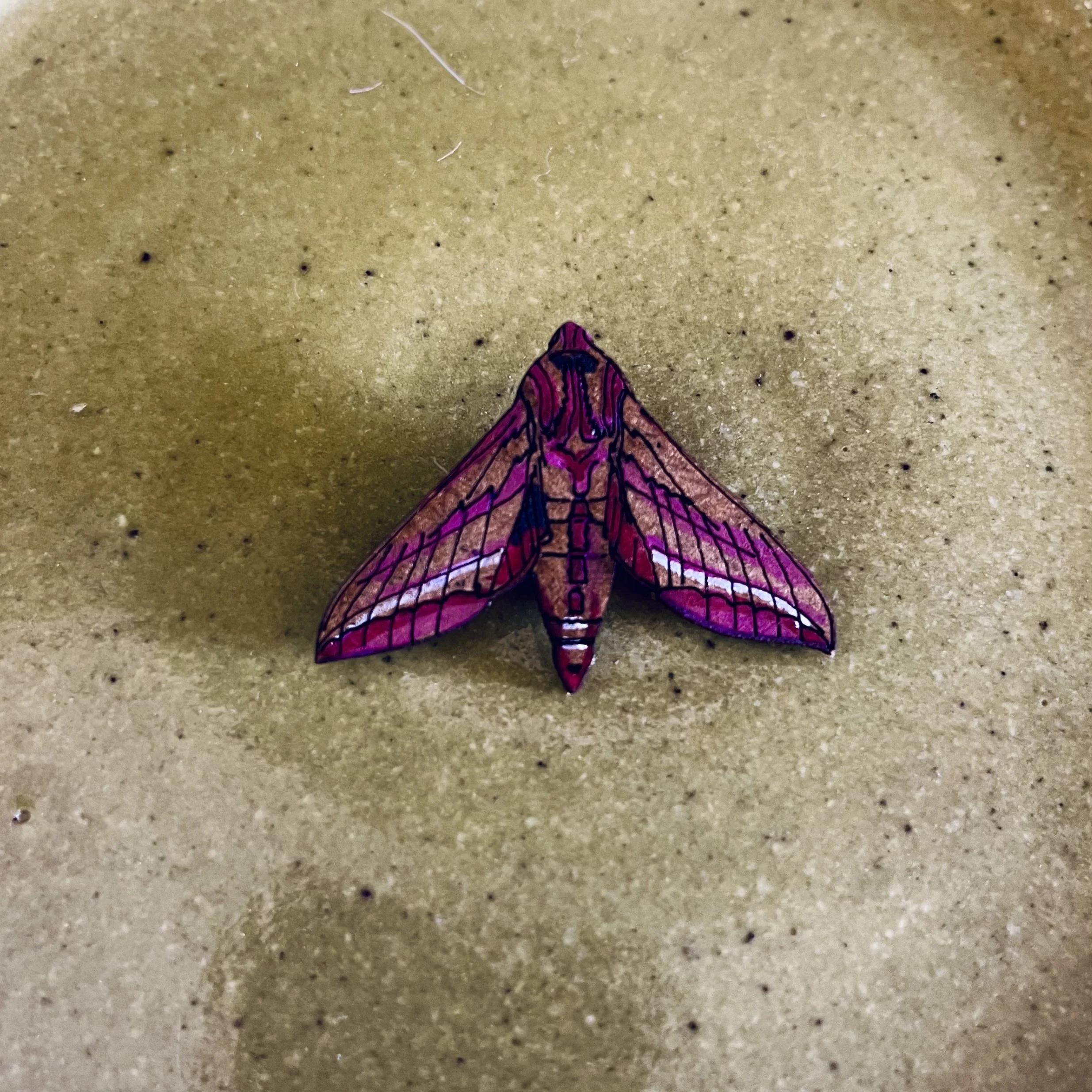 Elephant Hawk Moth Mini Pin