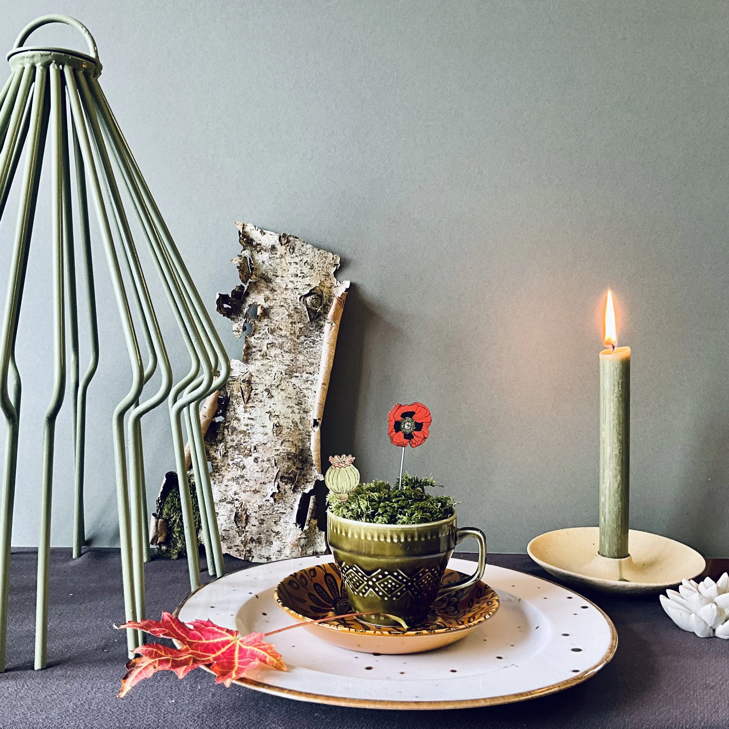 poppy plant pot companions.jpeg