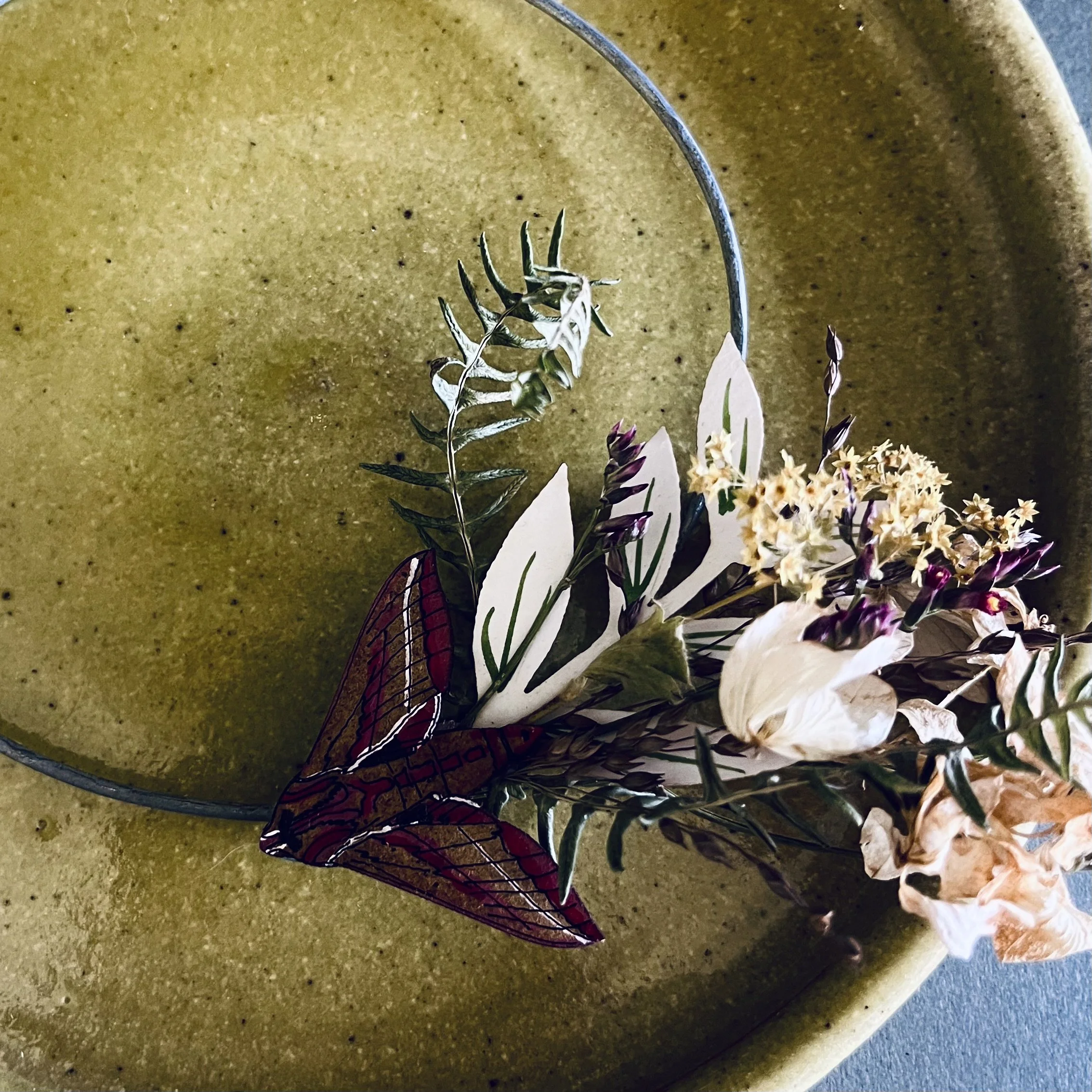 Elephant Hawk Moth Small Wreath