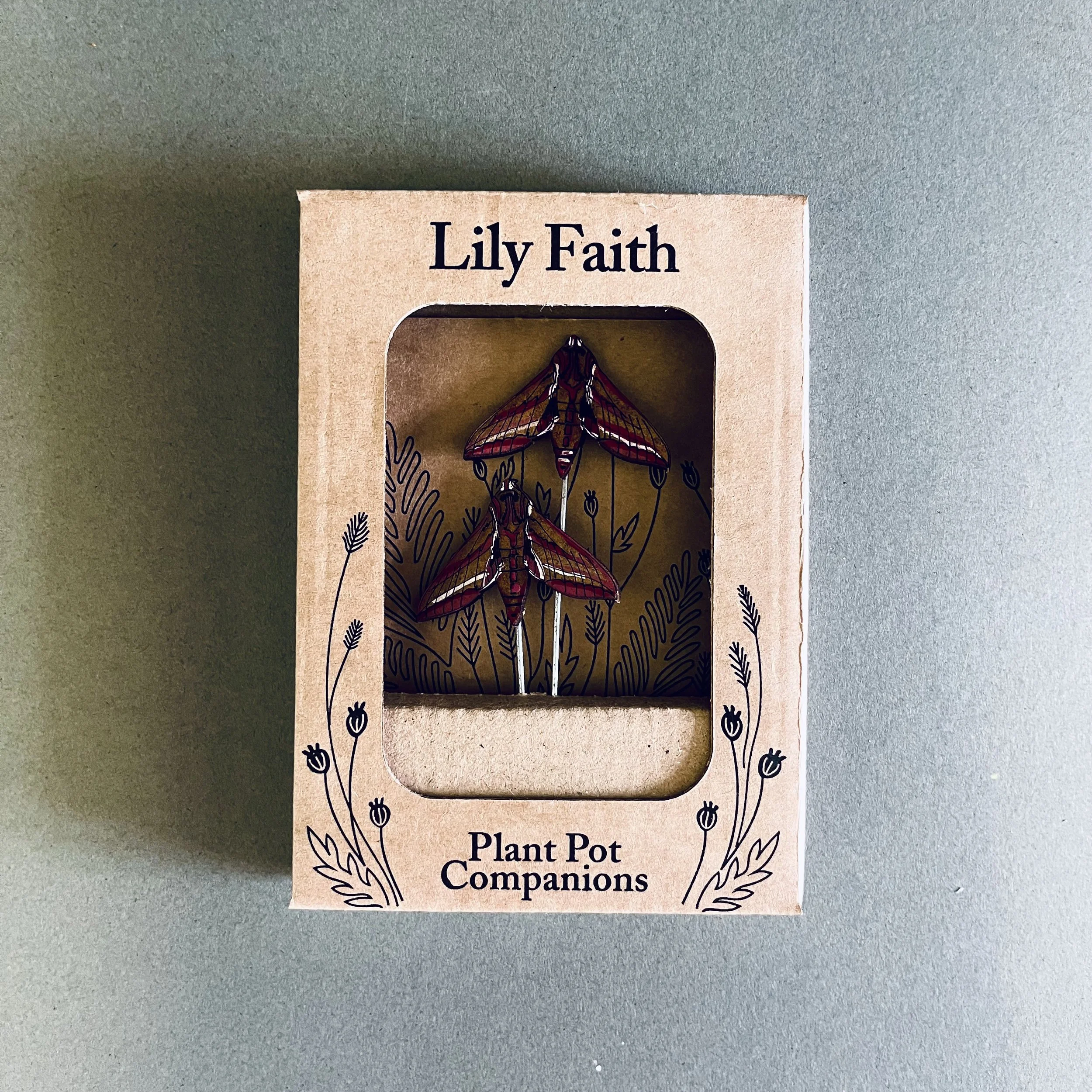 Elephant Hawk Moth Plant Pot Companions