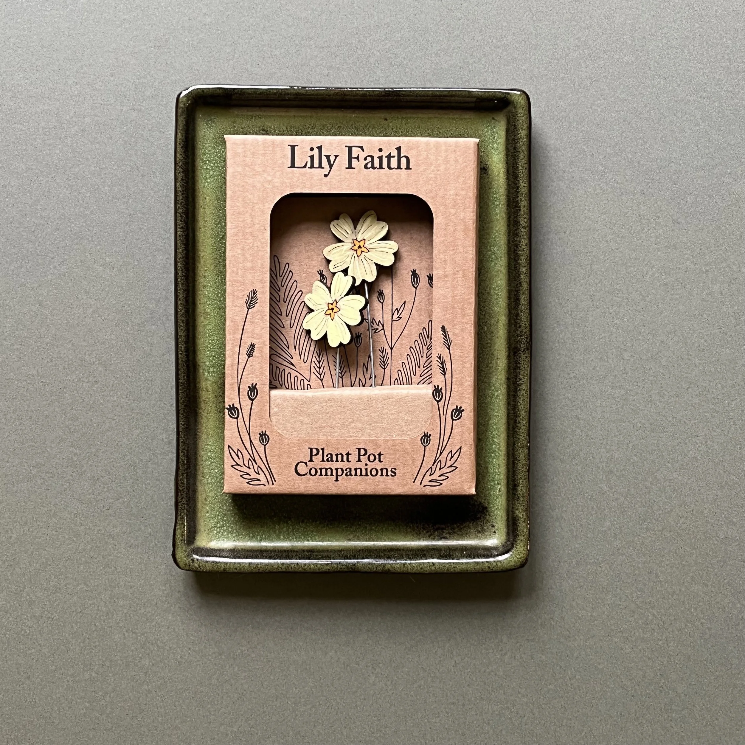 primrose plant pot companions.jpeg