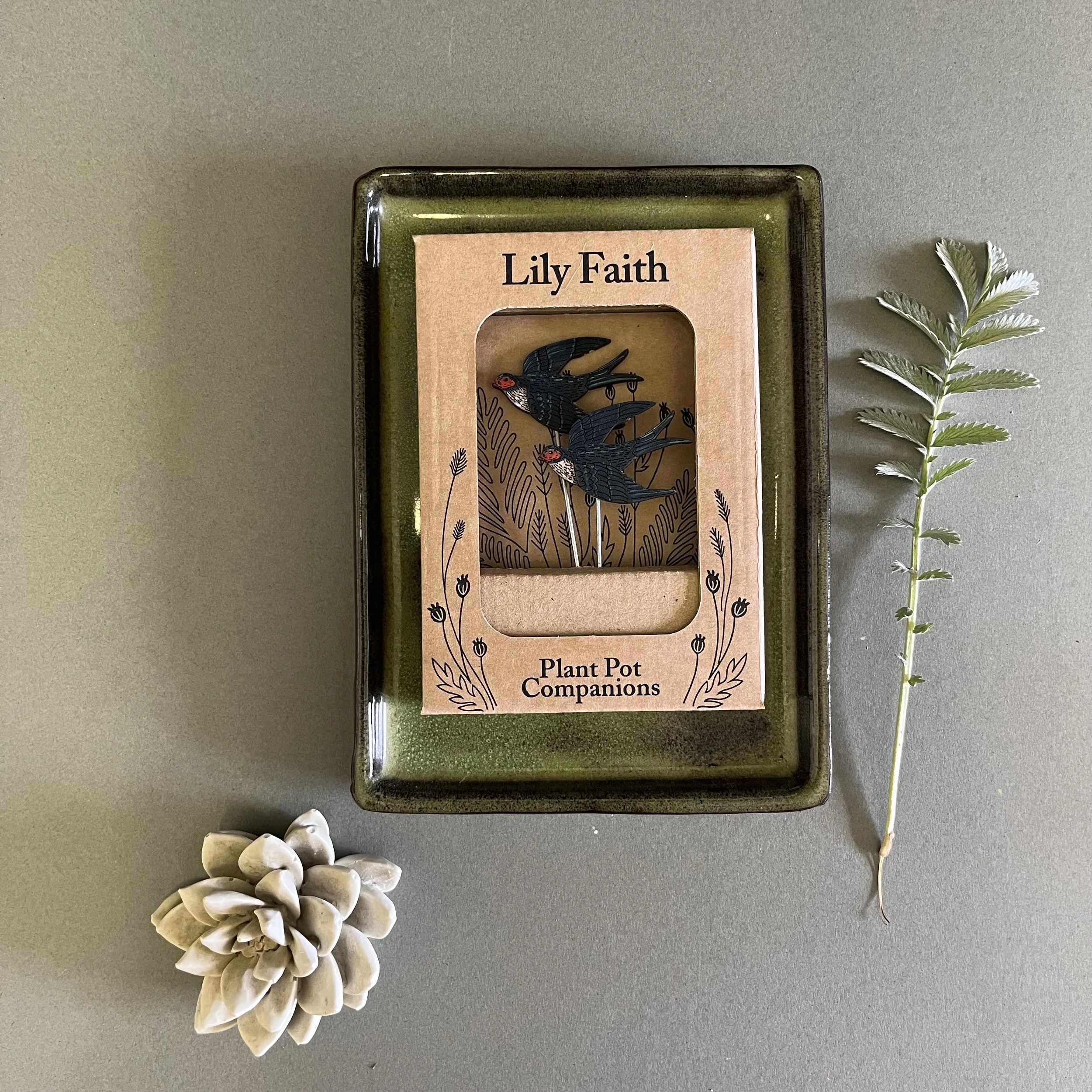 Swallow plant pot companions