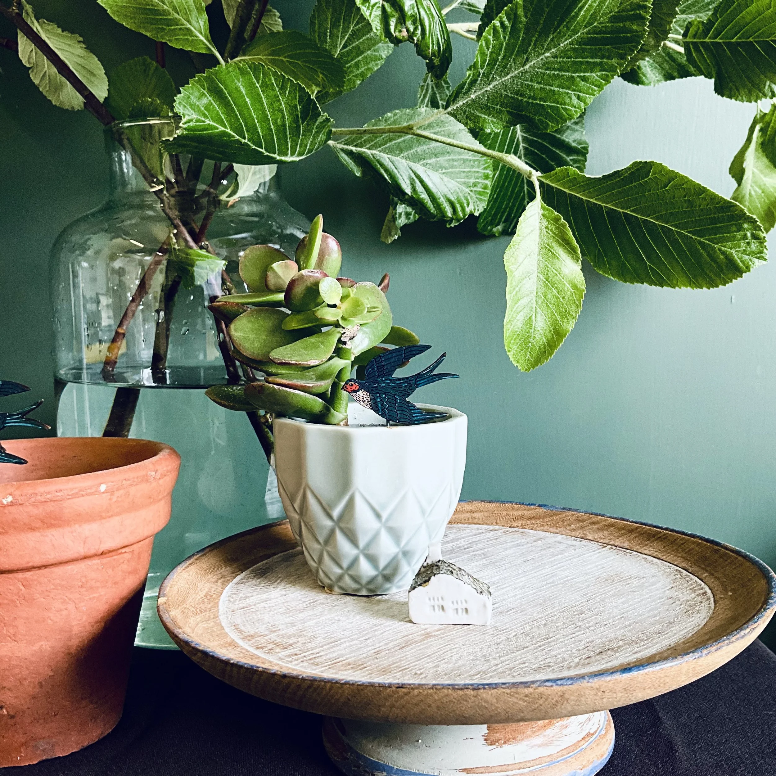 Swallow plant pot companions.jpeg