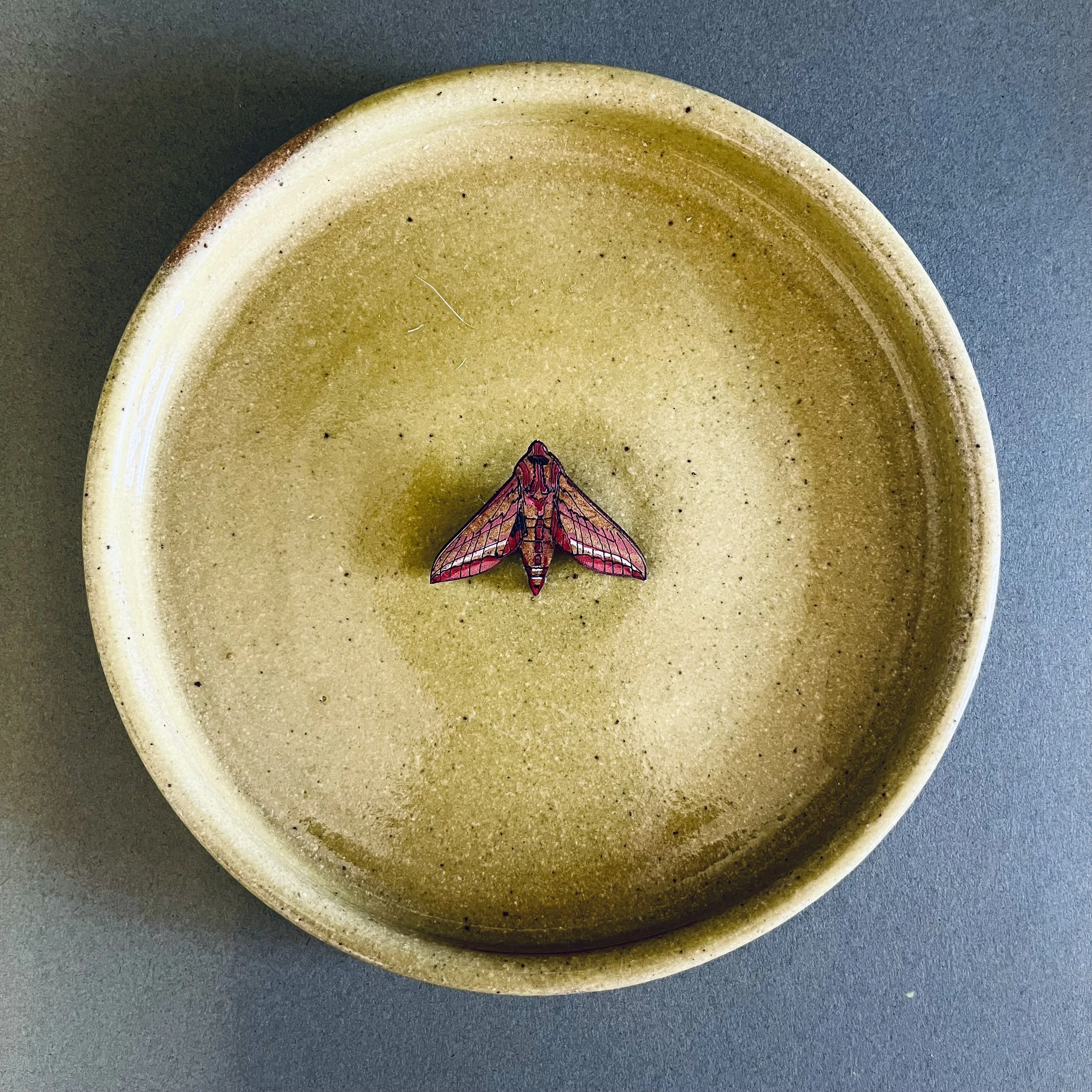 Elephant Hawk Moth Mini Pin