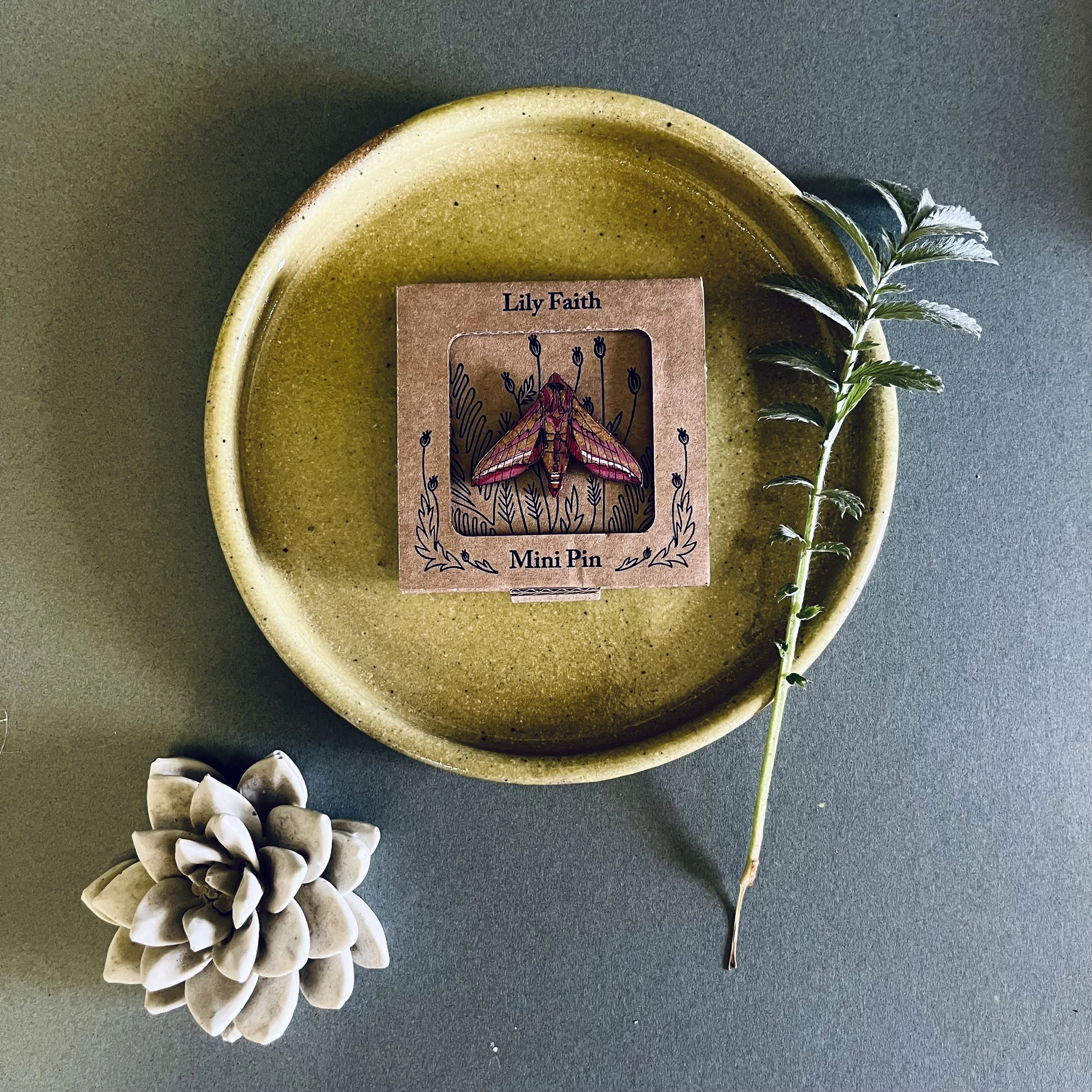 Elephant Hawk Moth Mini Pin