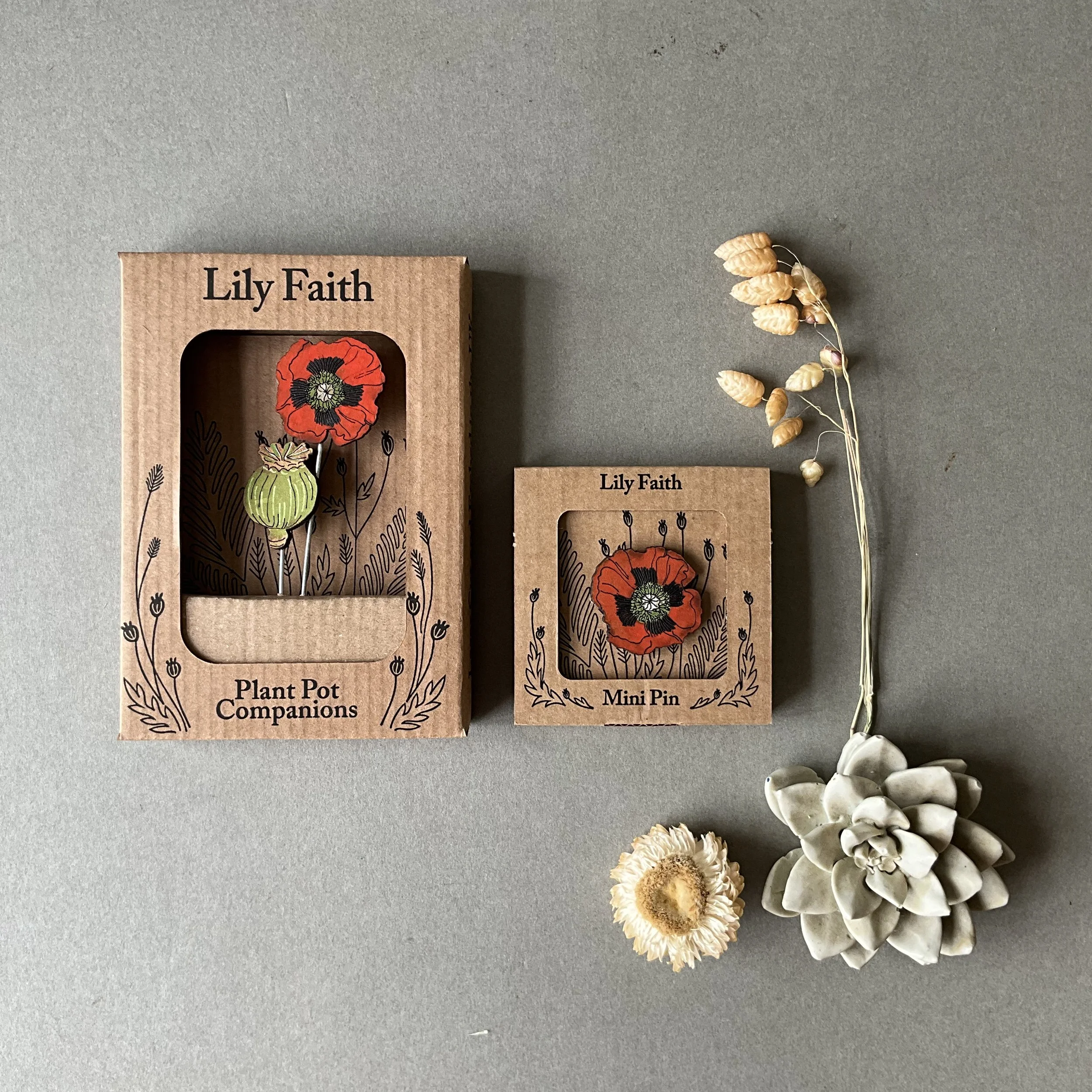 poppy plant pot companions.jpeg