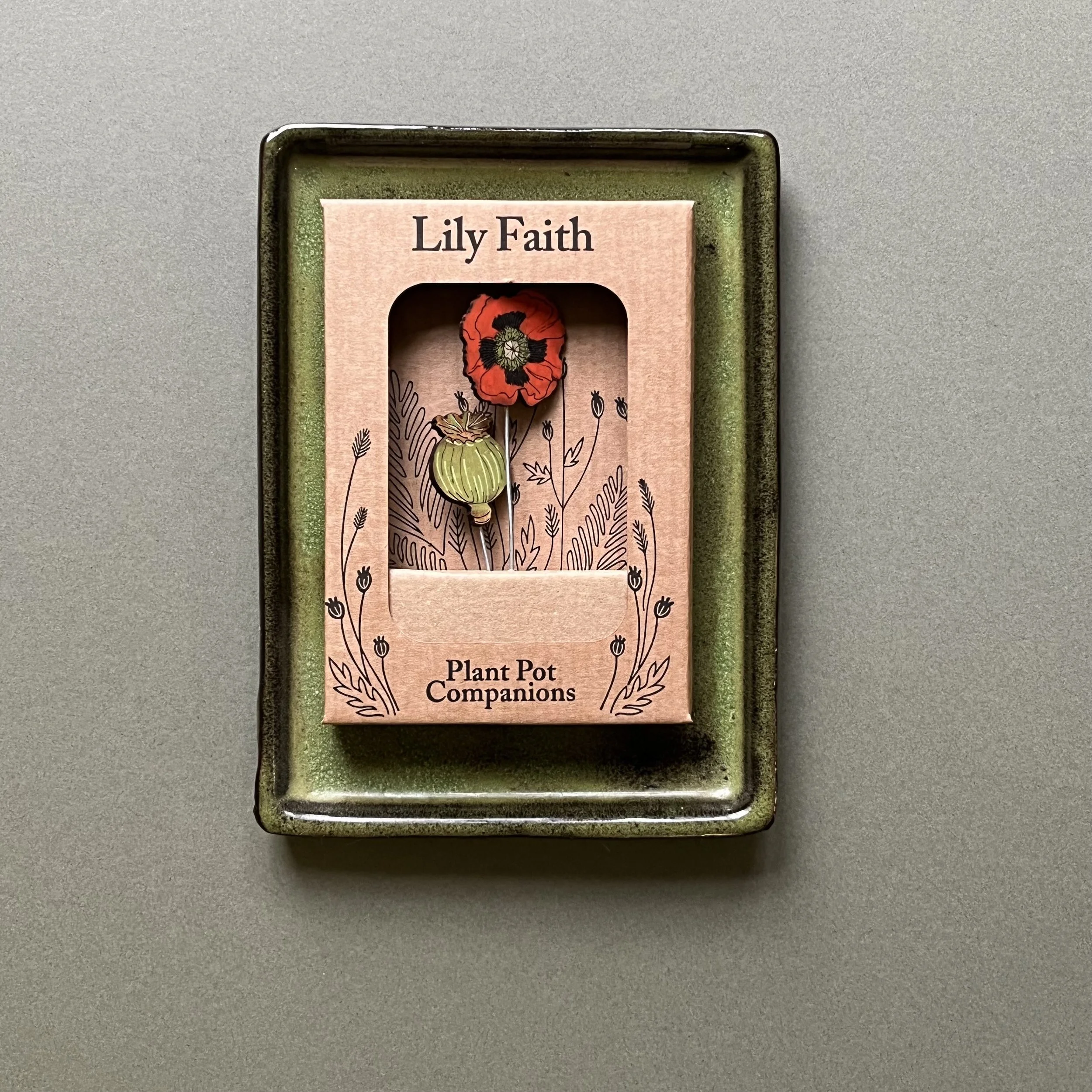 poppy plant pot companions.jpeg