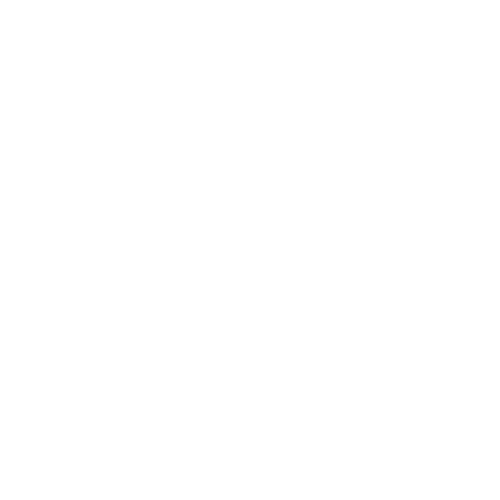 bolt only logo white.png