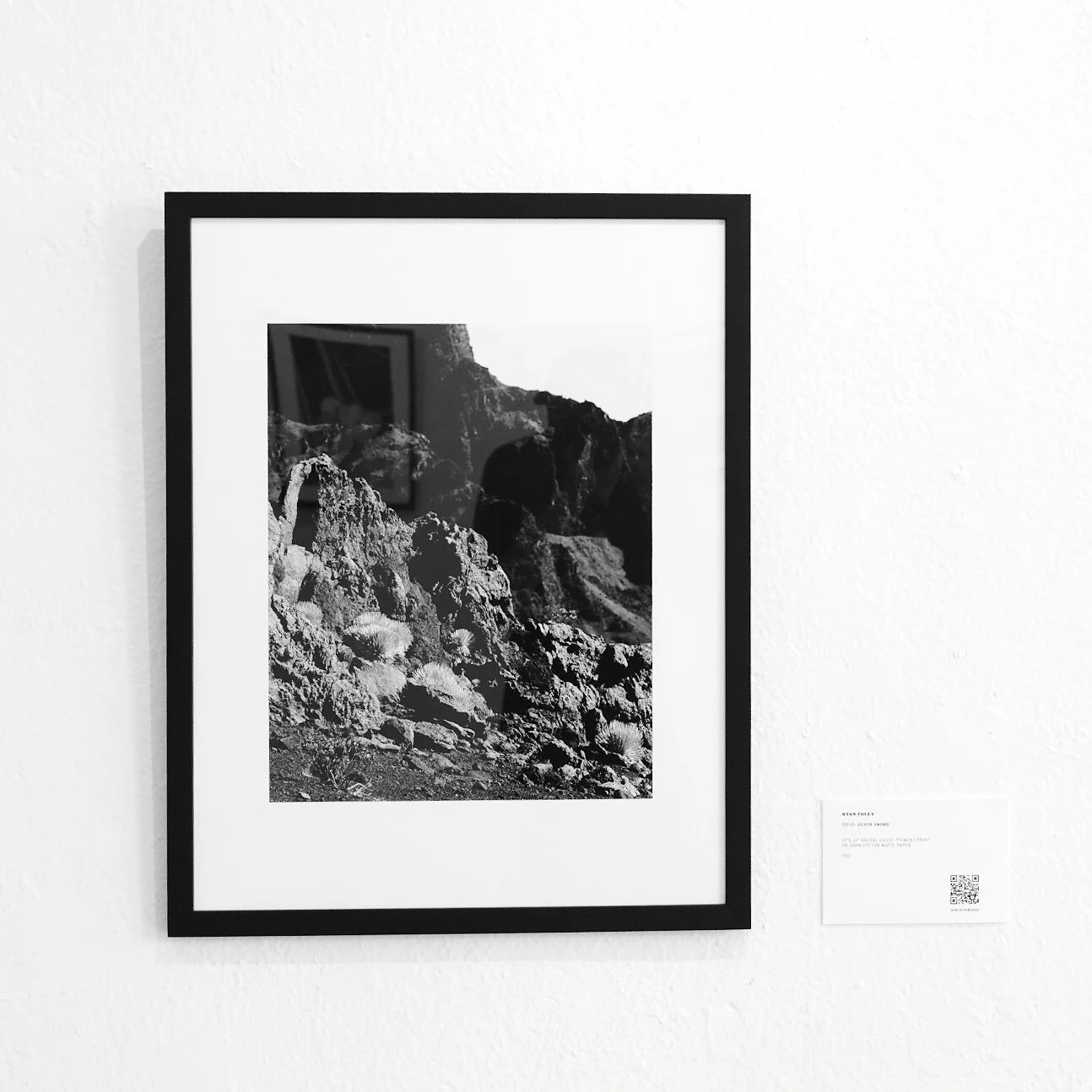 D208F9FD-37AA-49F7-B19F-A0D8BA7A860B