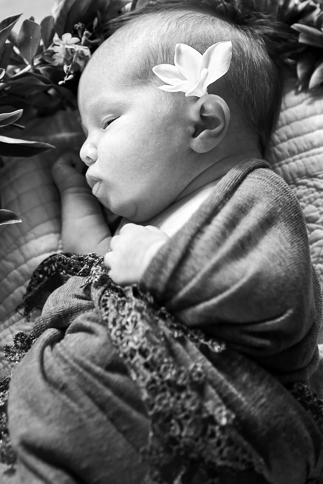 LORELAI_0133 2.JPG