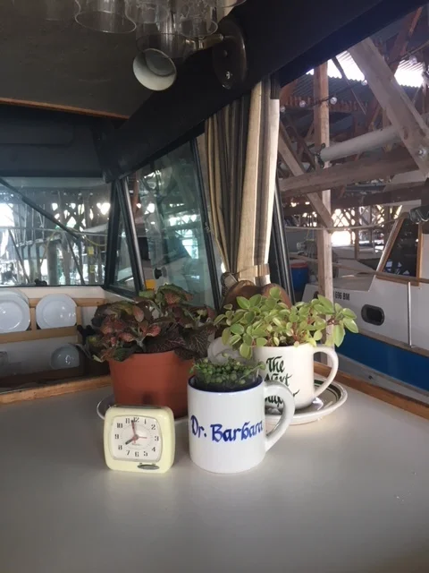 PINEAWEIGH - DAY THREE