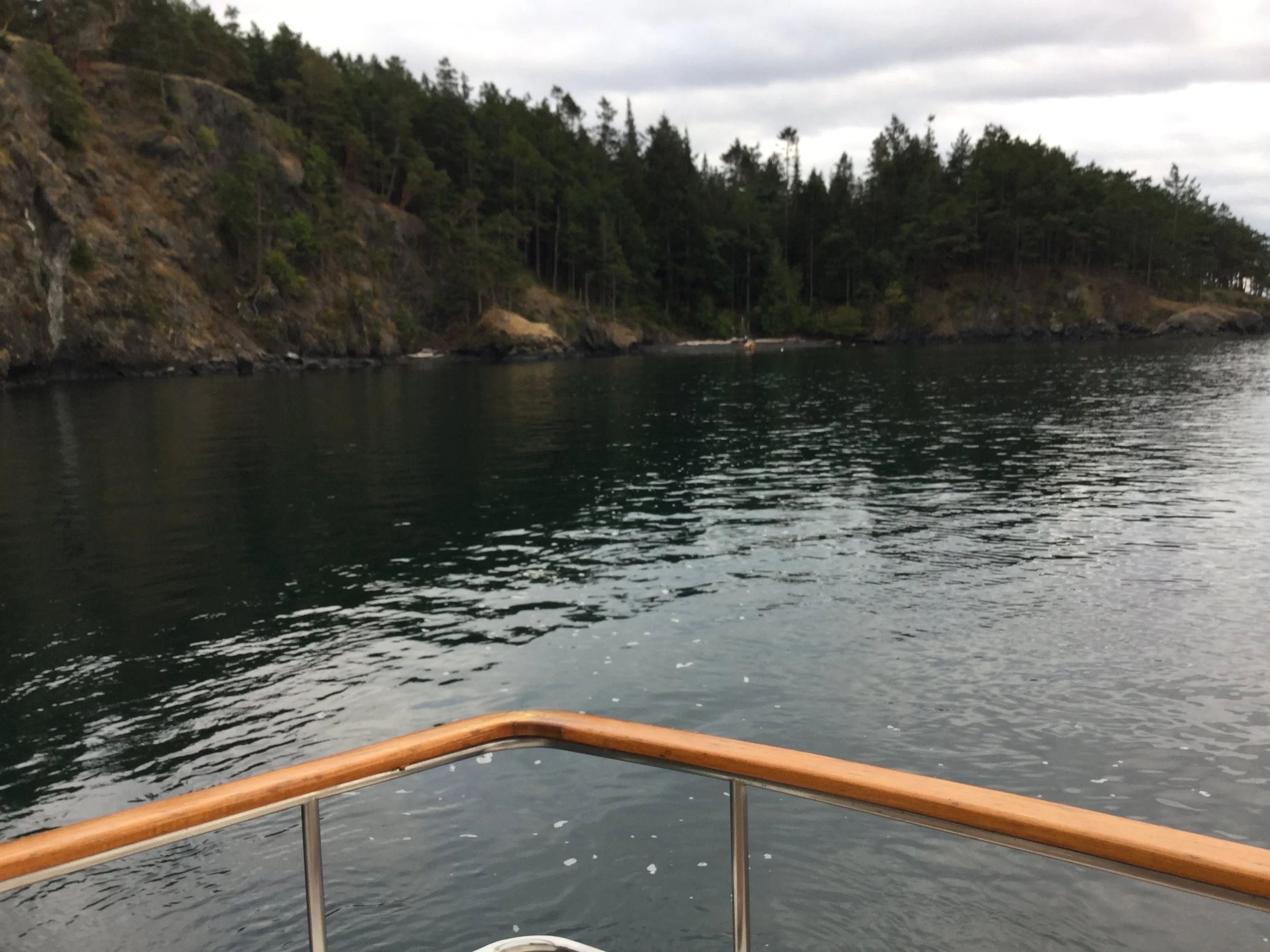 PINEAWEIGH-DAY 10 These Showers were not from heaven