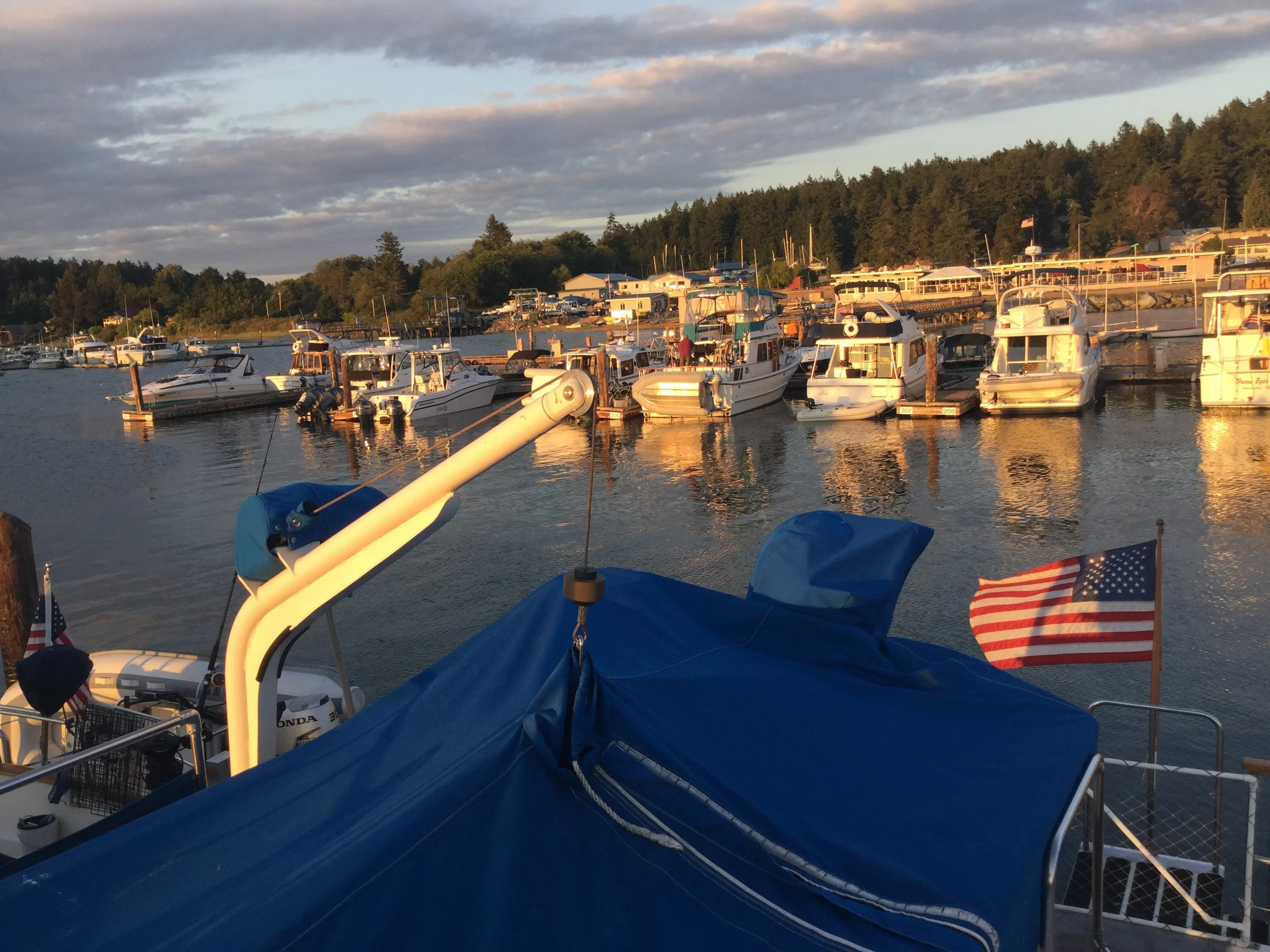 PINEAWEIGH - DAY ELEVEN:  Lopez Island, evening