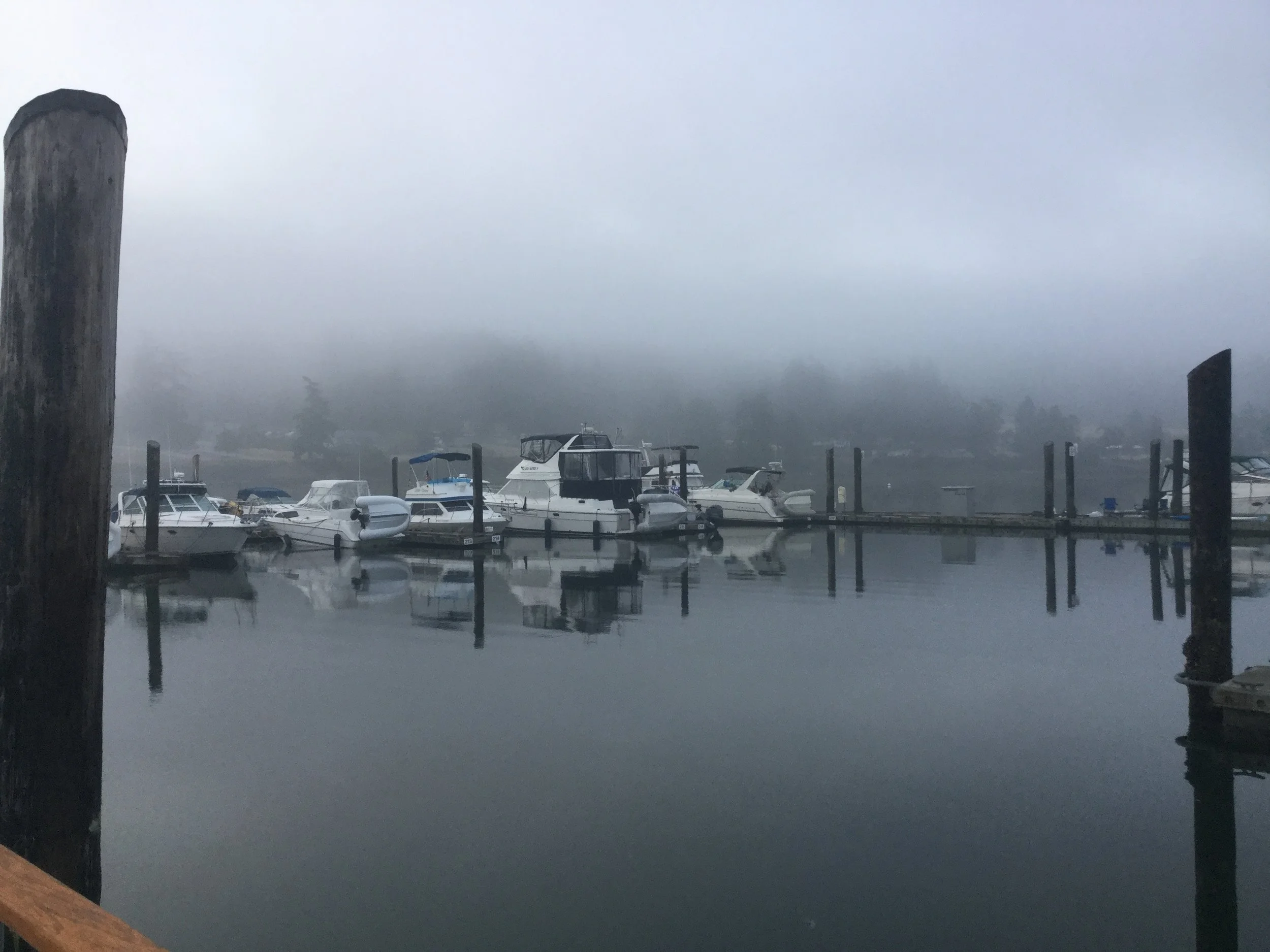 PINEAWEIGH-DAY TWELVE, morning