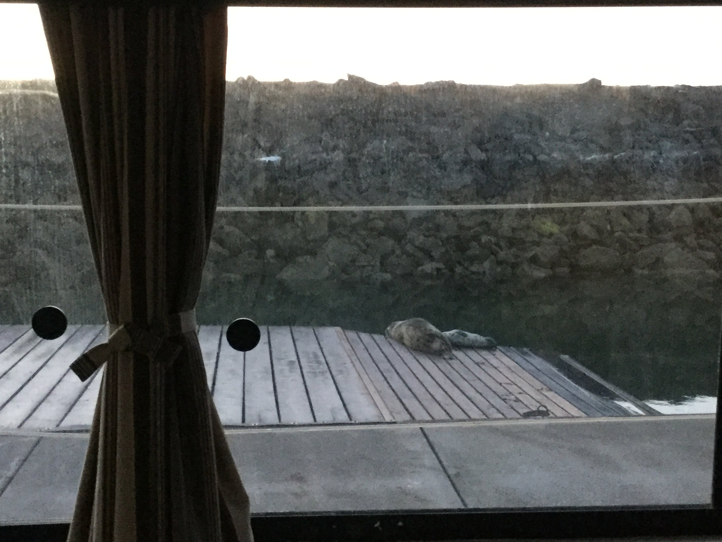 PINEAWEIGH-DAY FIFTEEN. Jones Island. NO INTERNET!! No election returns!