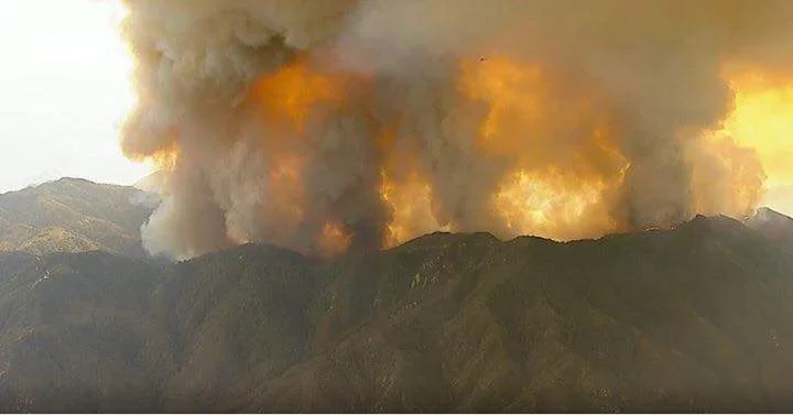 PINEAWEIGH- DAY SIXTEEN, Afternoon