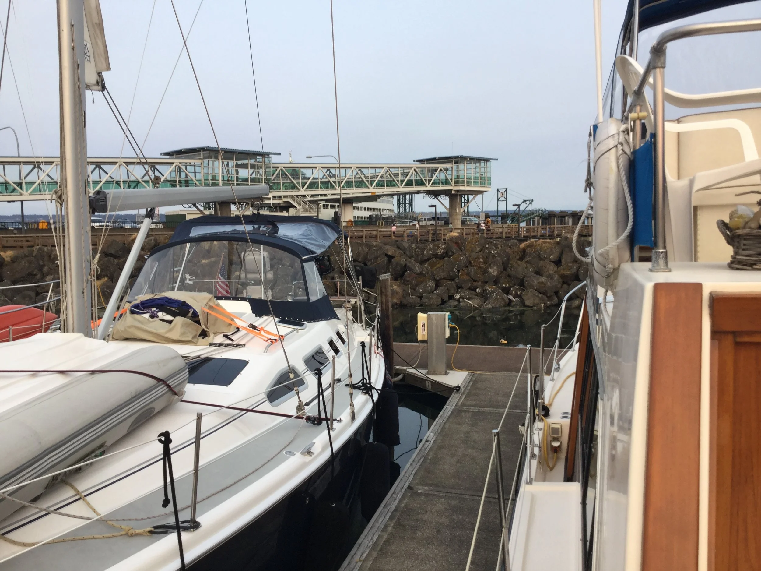 PINEAWEIGH - DAY NINETEEN, Complain/Confess/Re-Consider