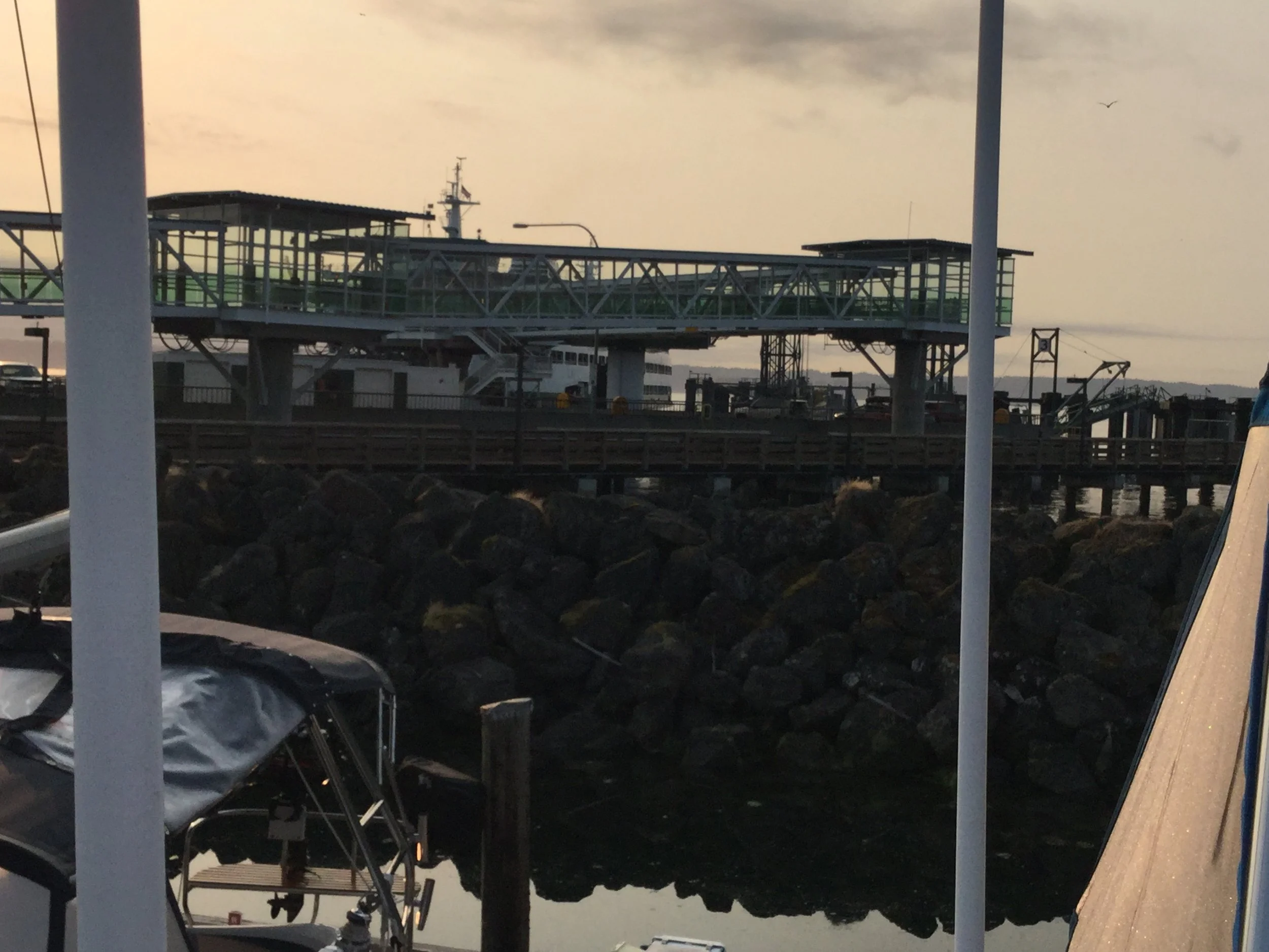 PINEAWEIGH - DAY TWENTY, the best start ever!