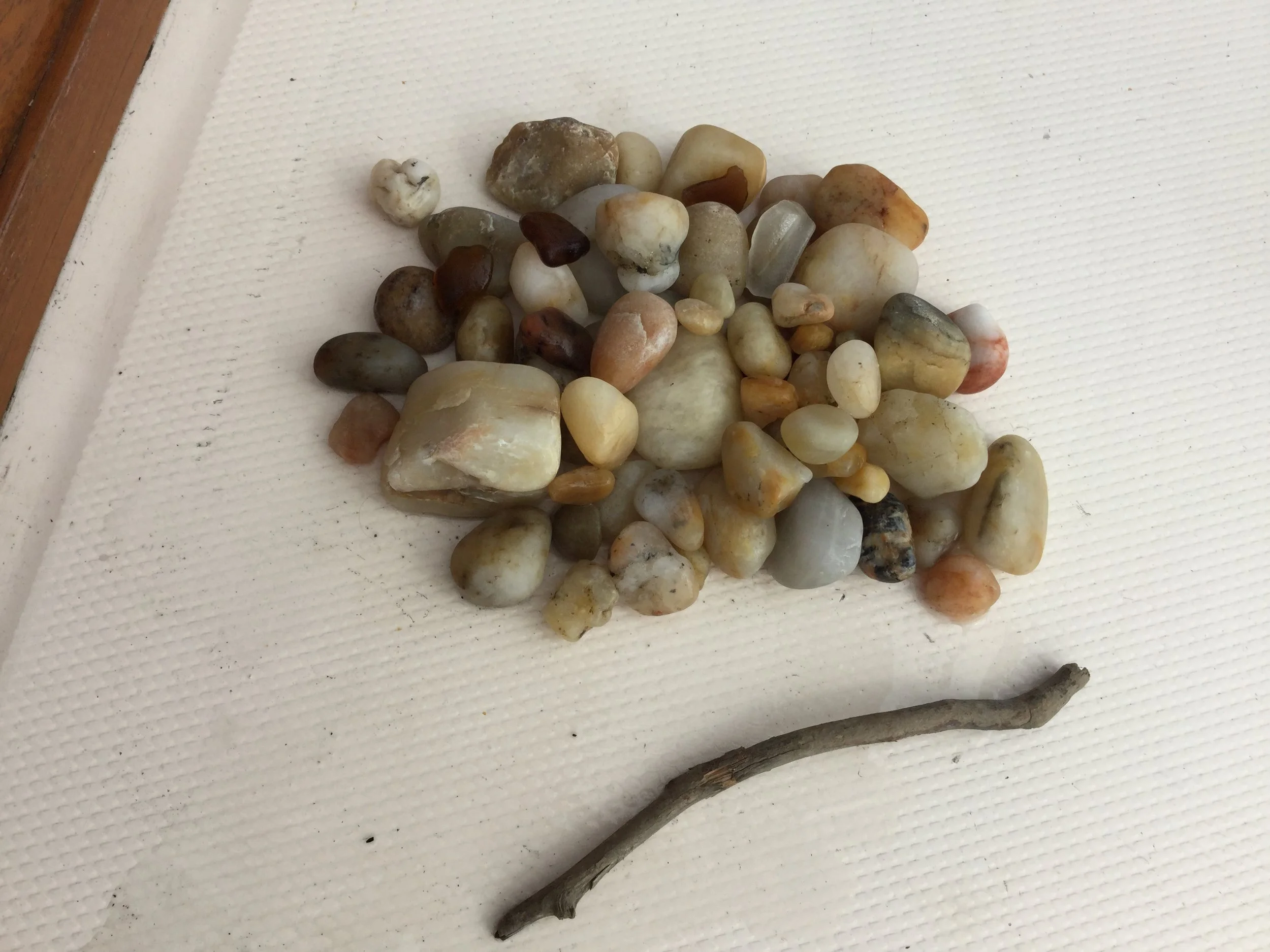 9-30-18 NEW PineAweigh Adventure - Rocks & Sticks