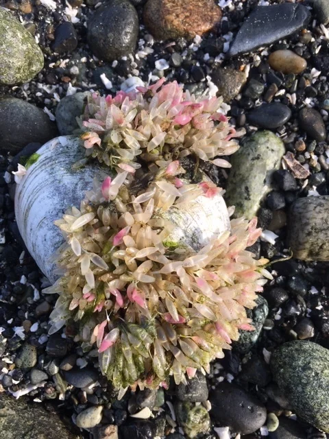 #13 TATWTD - The Universe