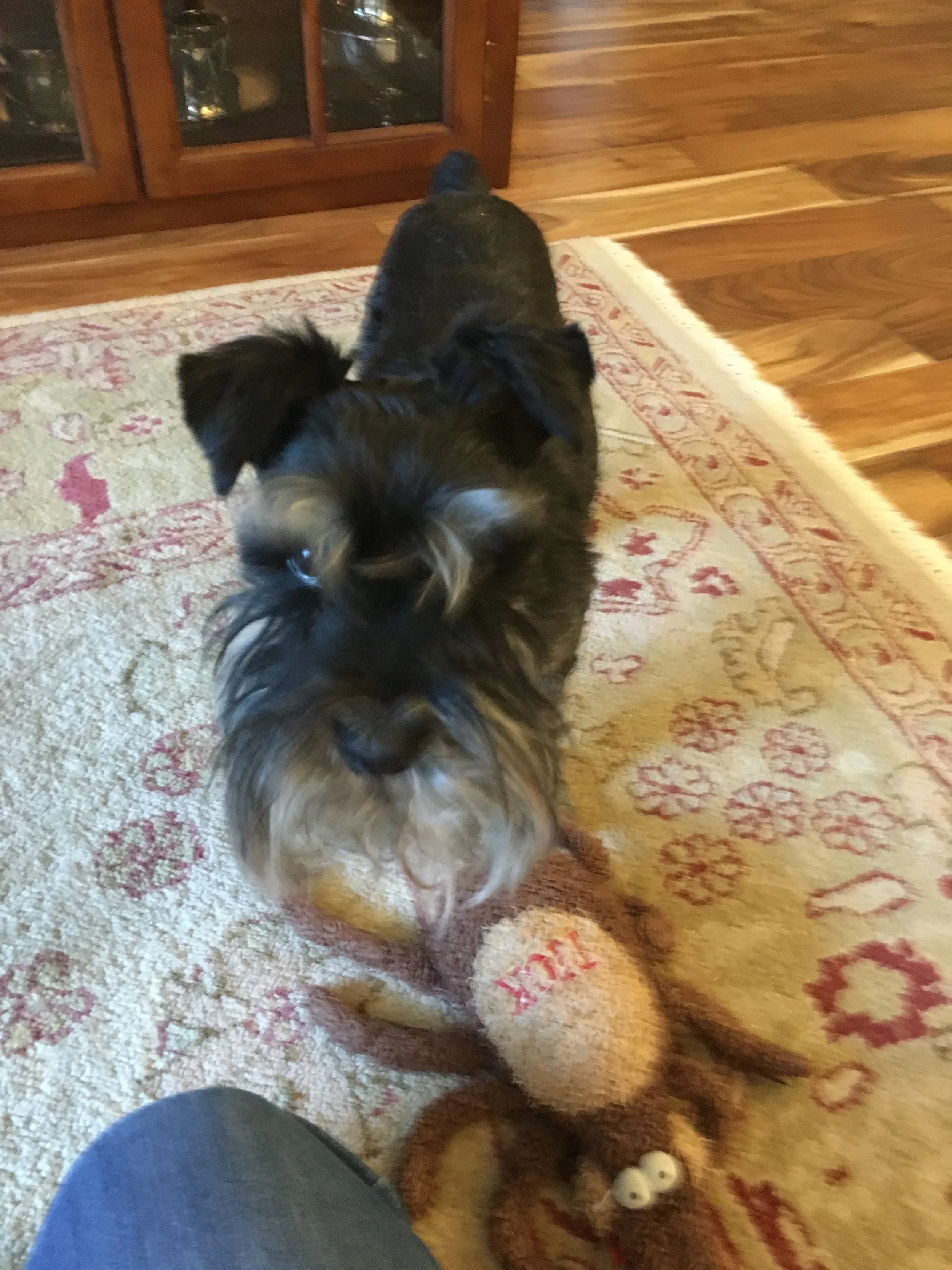 #18 TATWTD:  OH. Right.