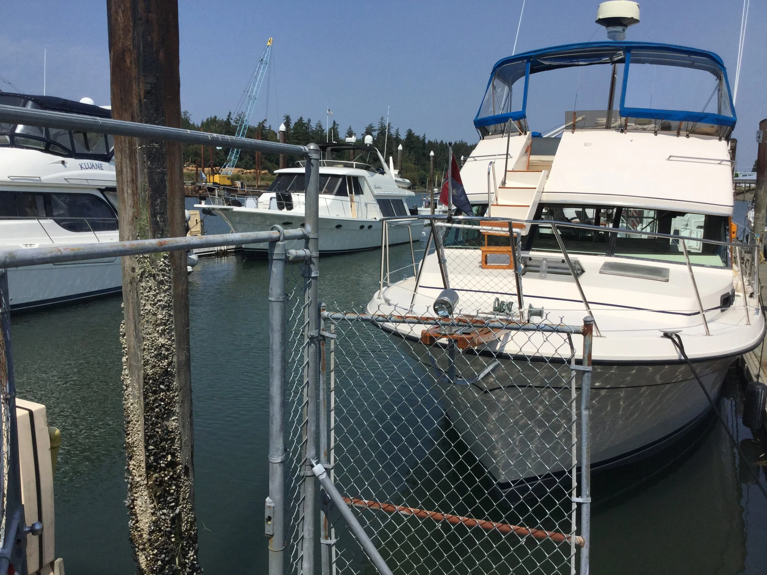 #3 NEW PineAweigh — “Trouble”