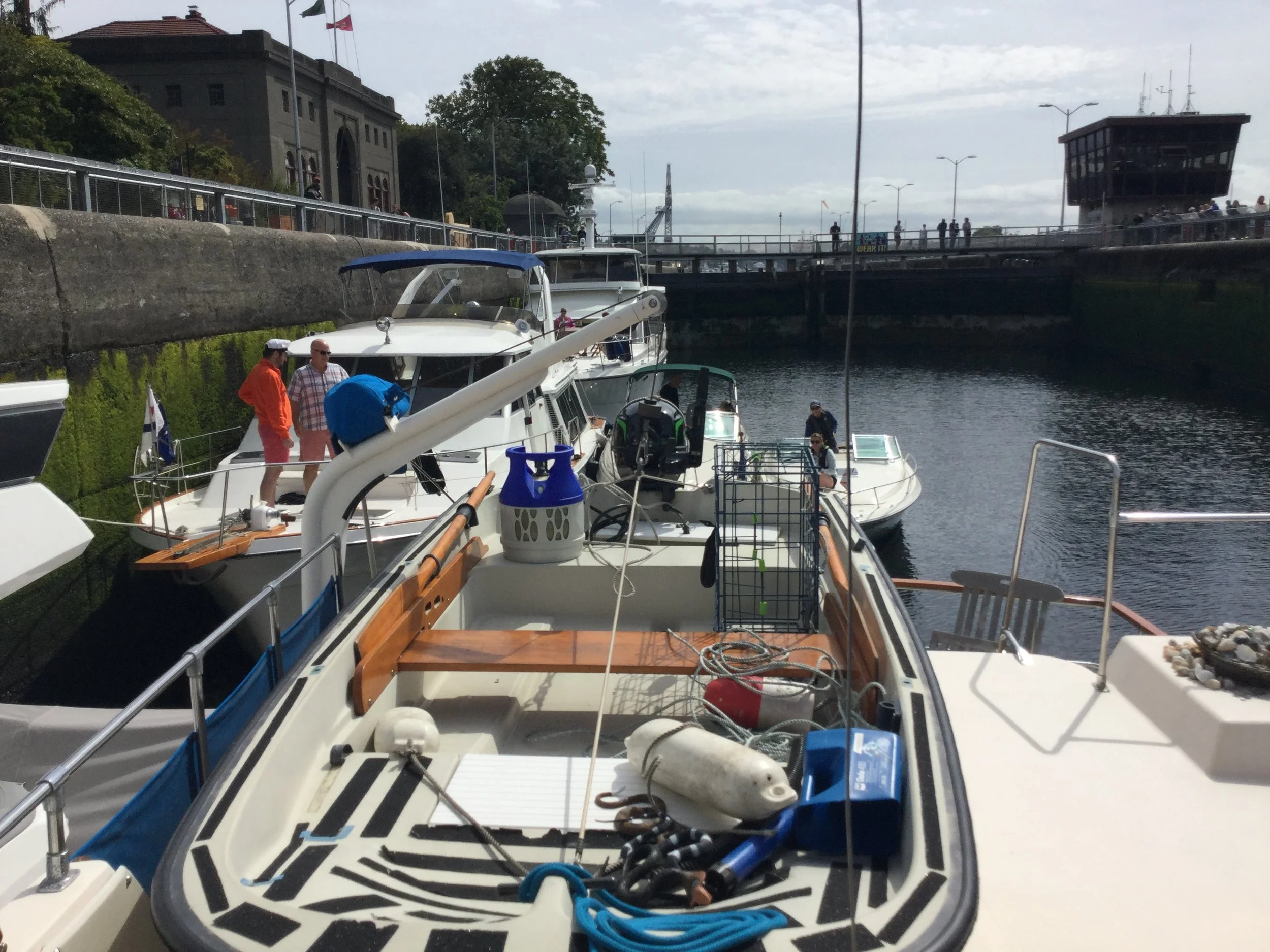 #6 NEW PineAweigh Adventure - Lake Union Exchange