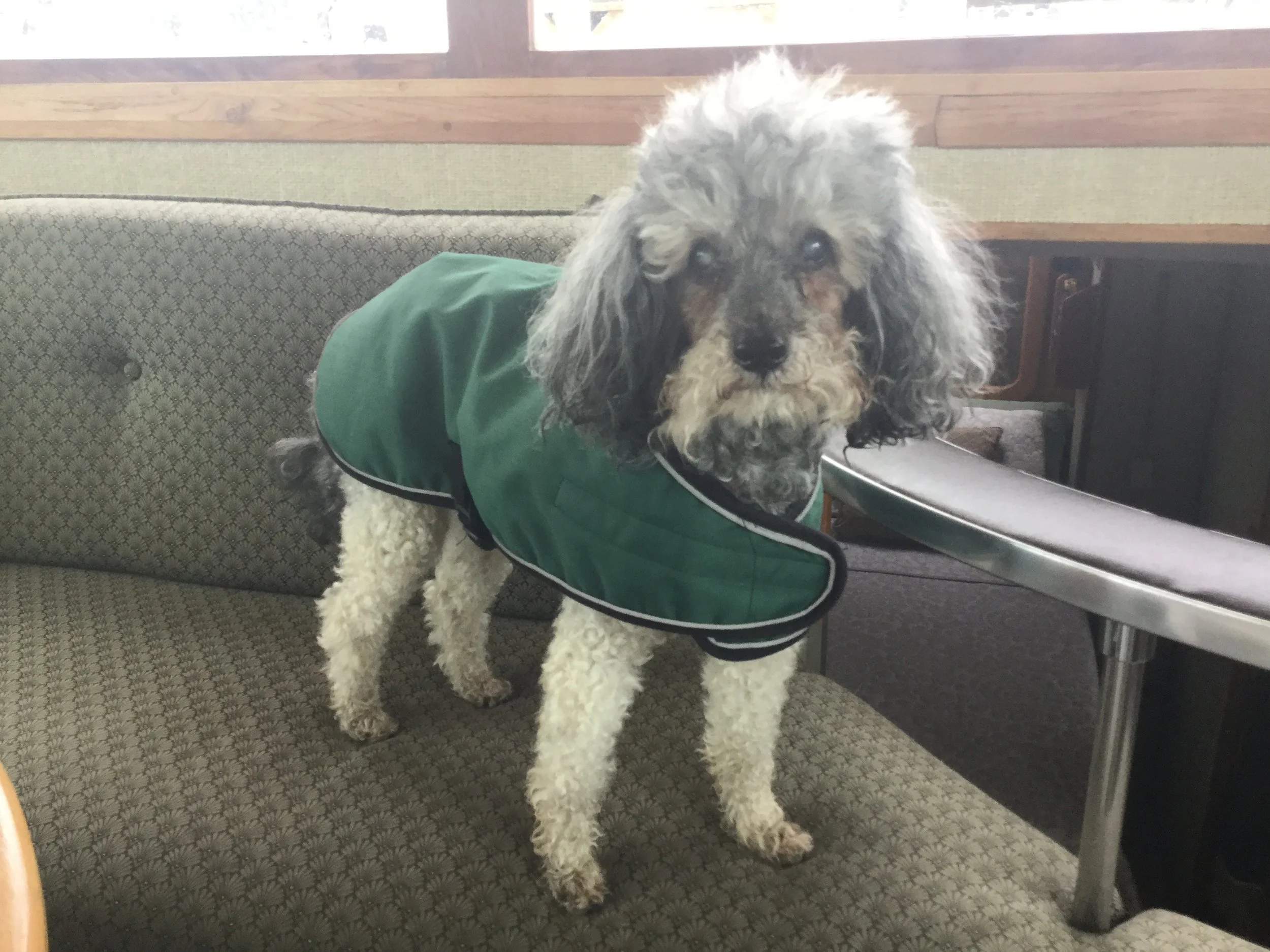 #27 TATWTD - GRIEF, a fourth thought; the final thought for now, perhaps