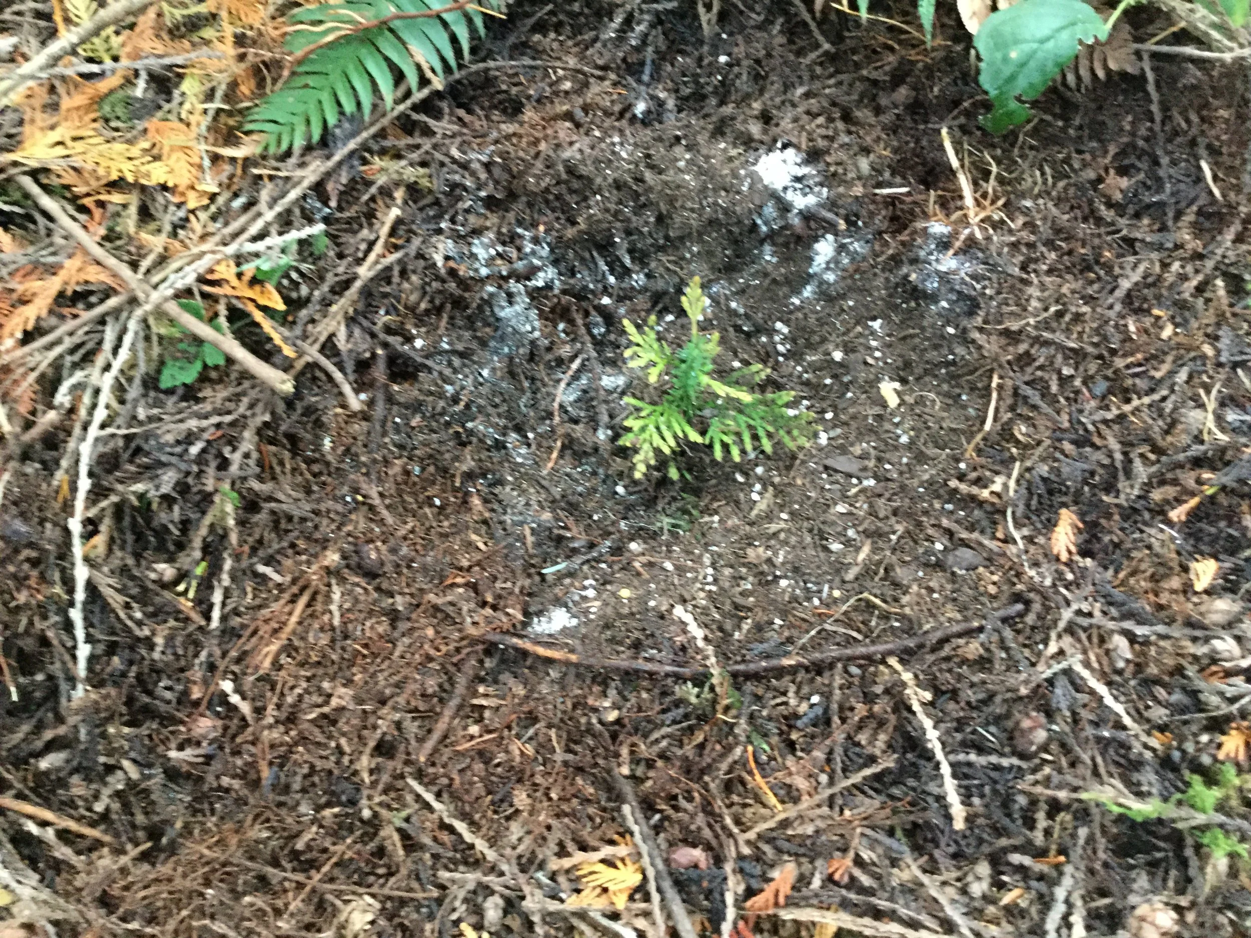 #28 TATWTD —GRIEF: Expectation—or Not