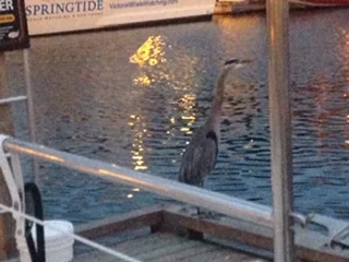 #29 GRIEF - the final writing (I think)