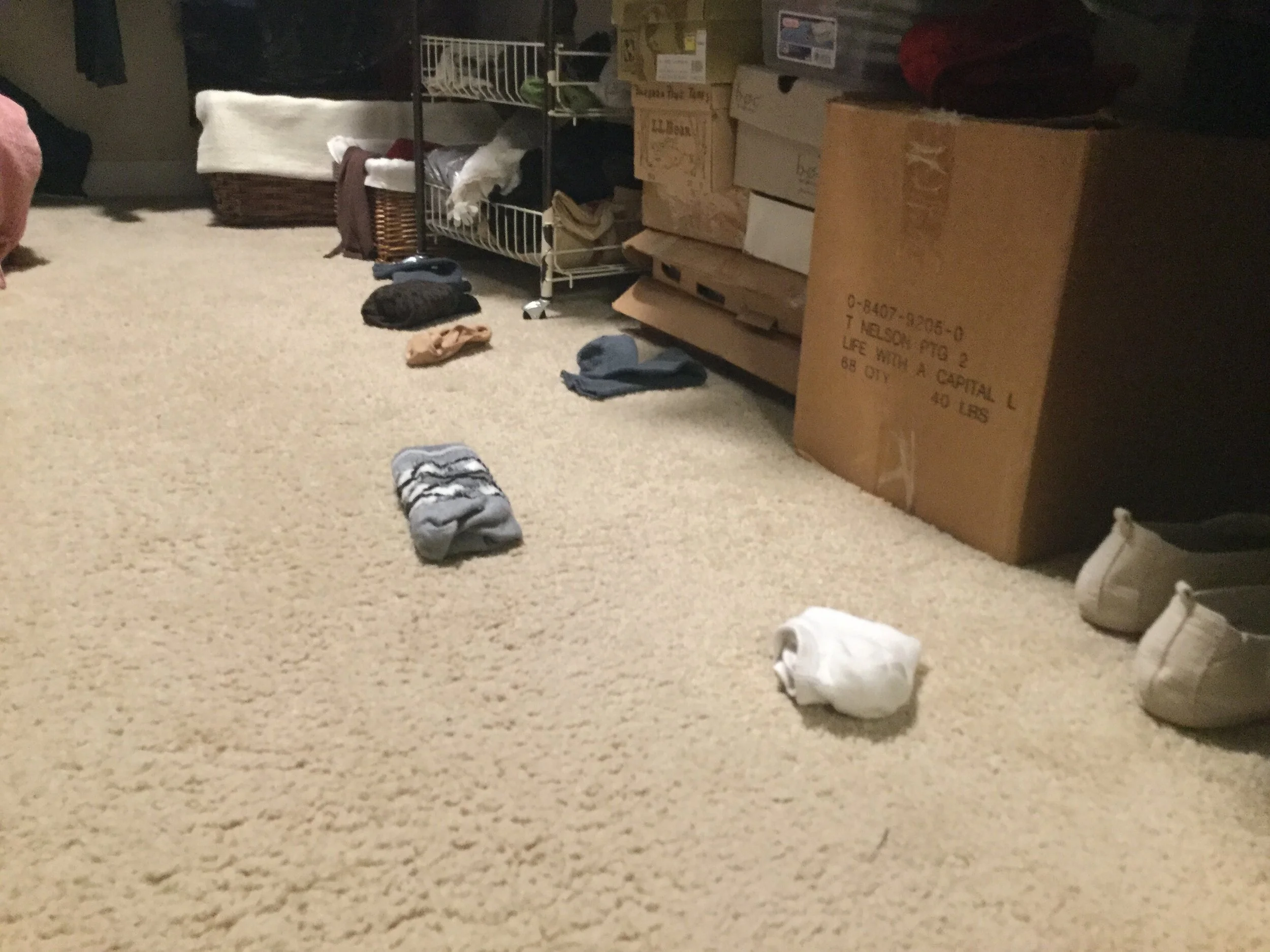 #9 PUPPY  "THE VALUE OF SIGHT