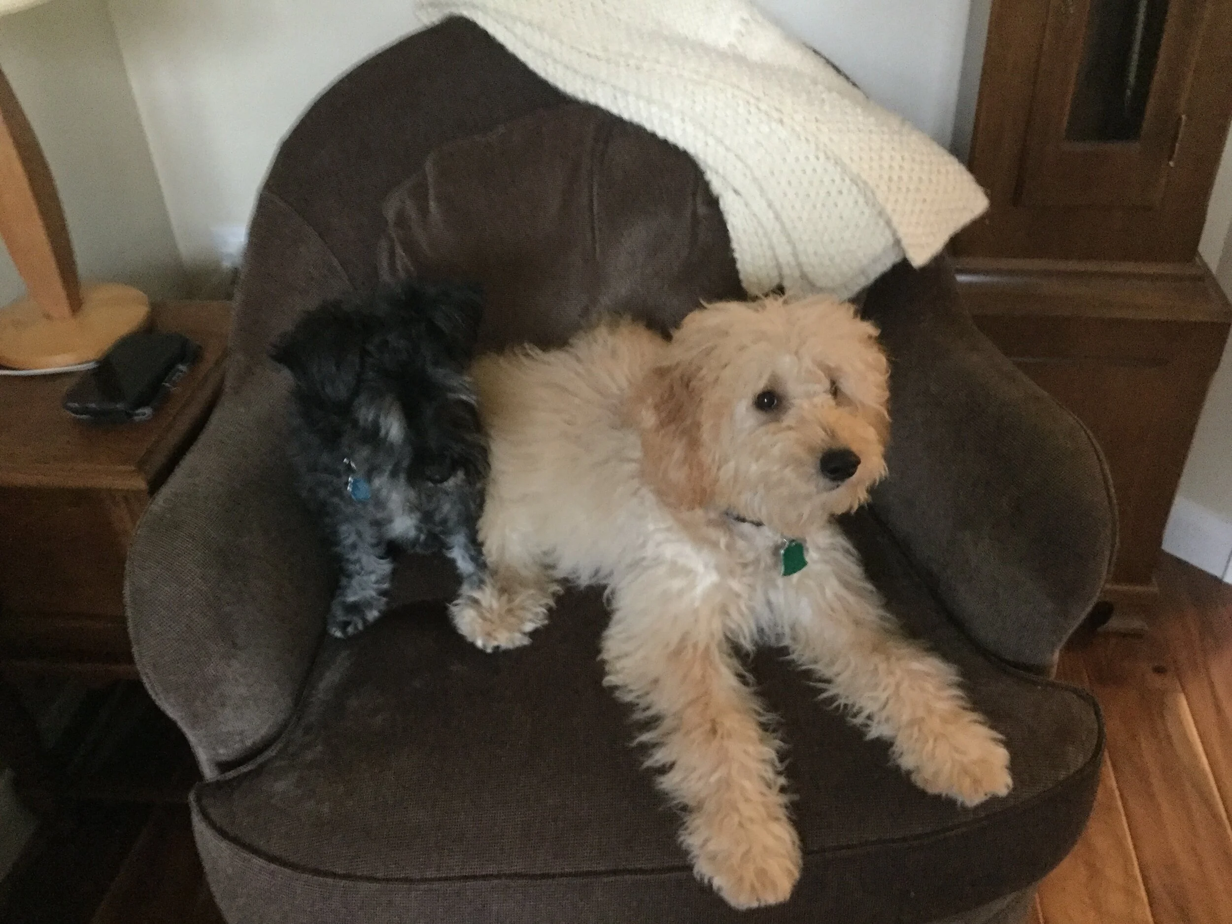 HAPPY BIRTHDAY, LINNEA!  IT'S A BIG ONE!