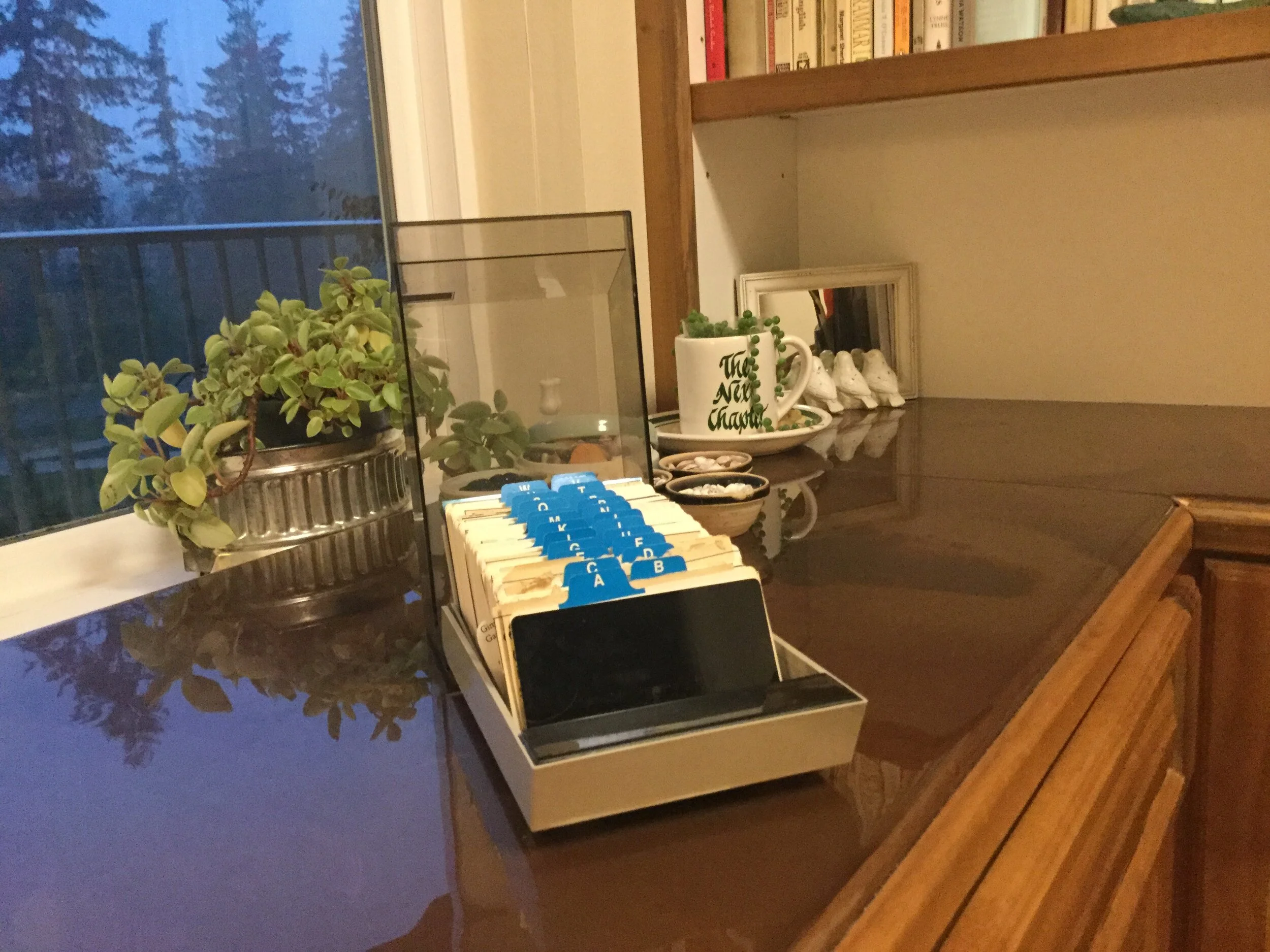 A Woman's Brief #6  WORDS IN OUR WORLD