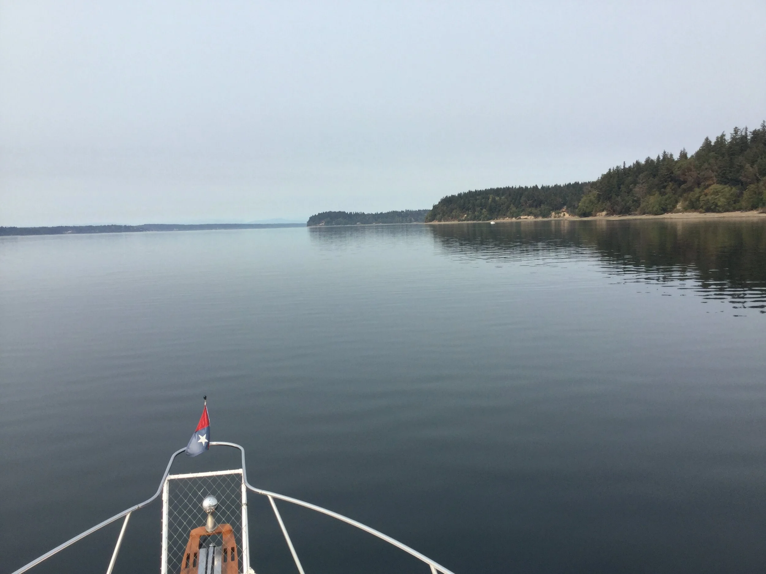 PINEAWEIGH 2020 REPORT